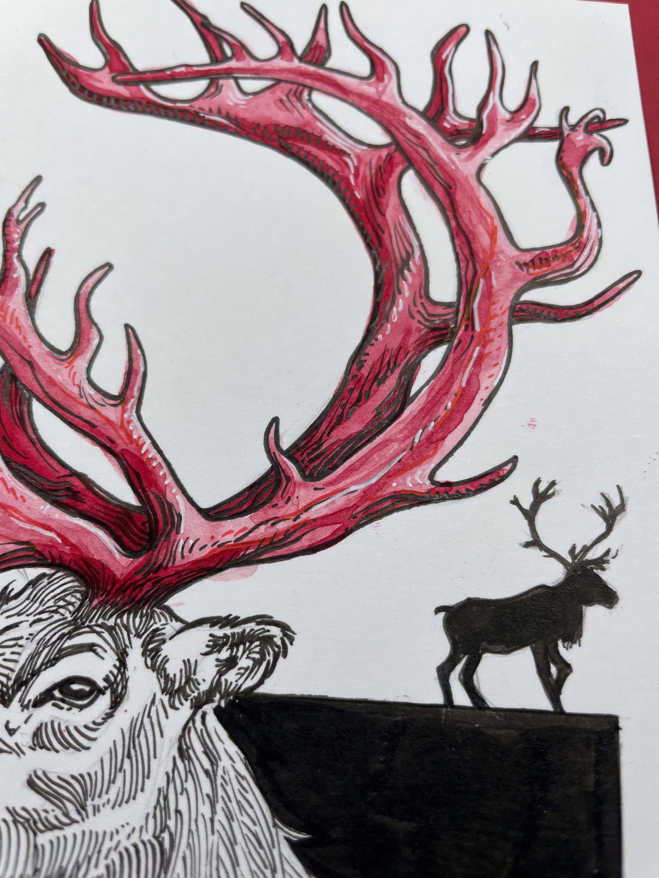 23.Caribou - 7.jpeg