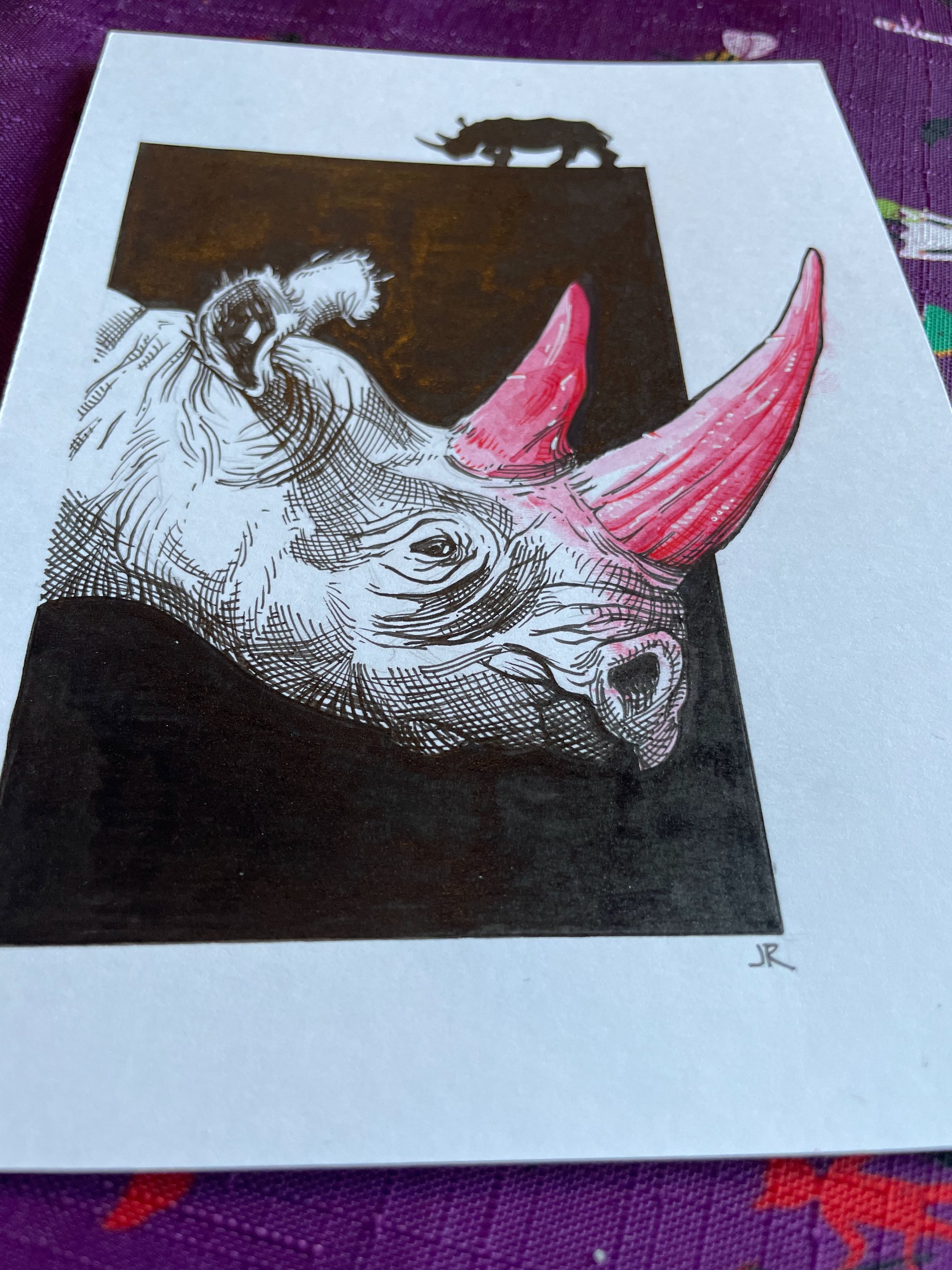 21.Rhino - 3.jpeg