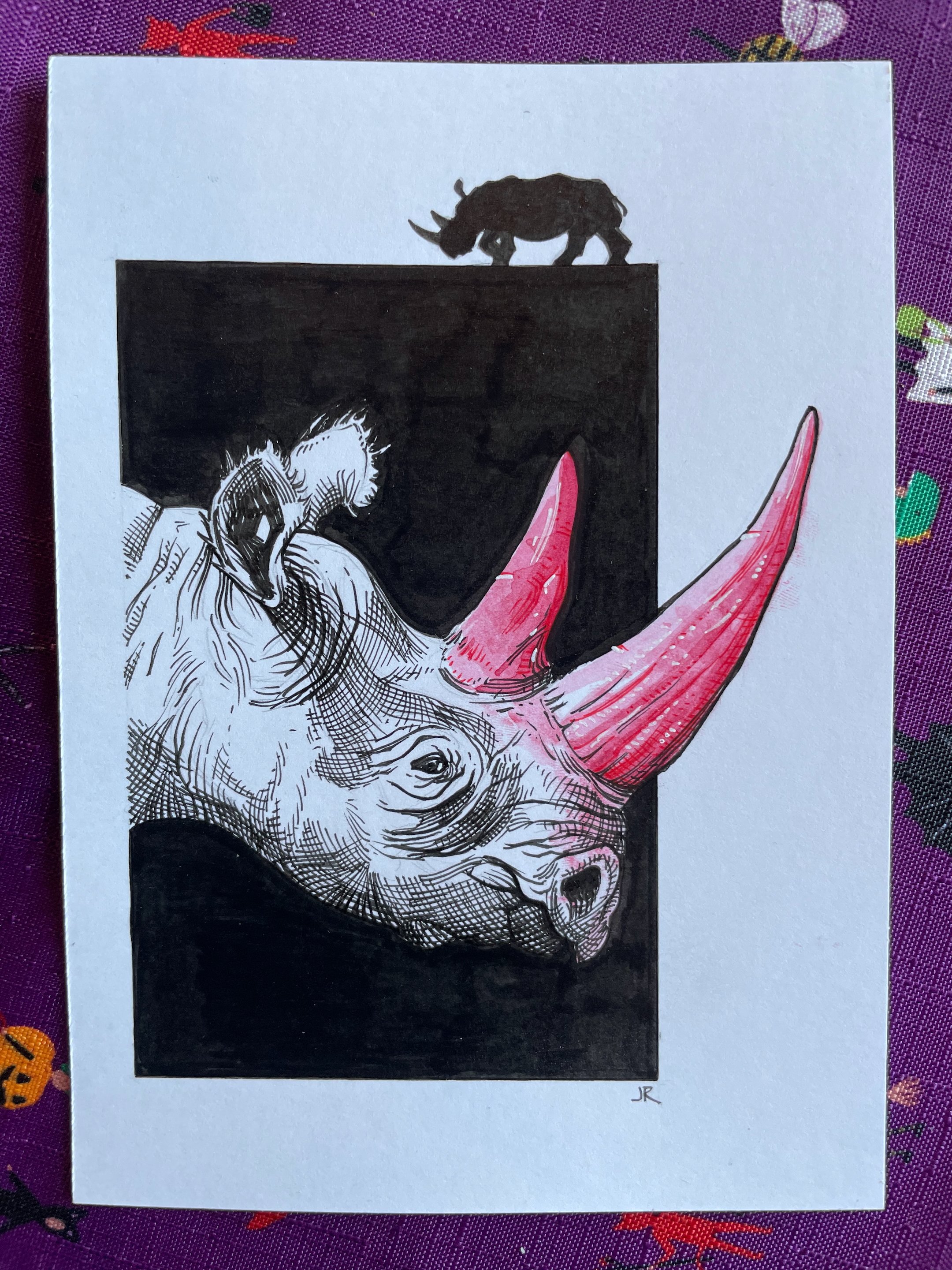 21.Rhino - 2.jpeg