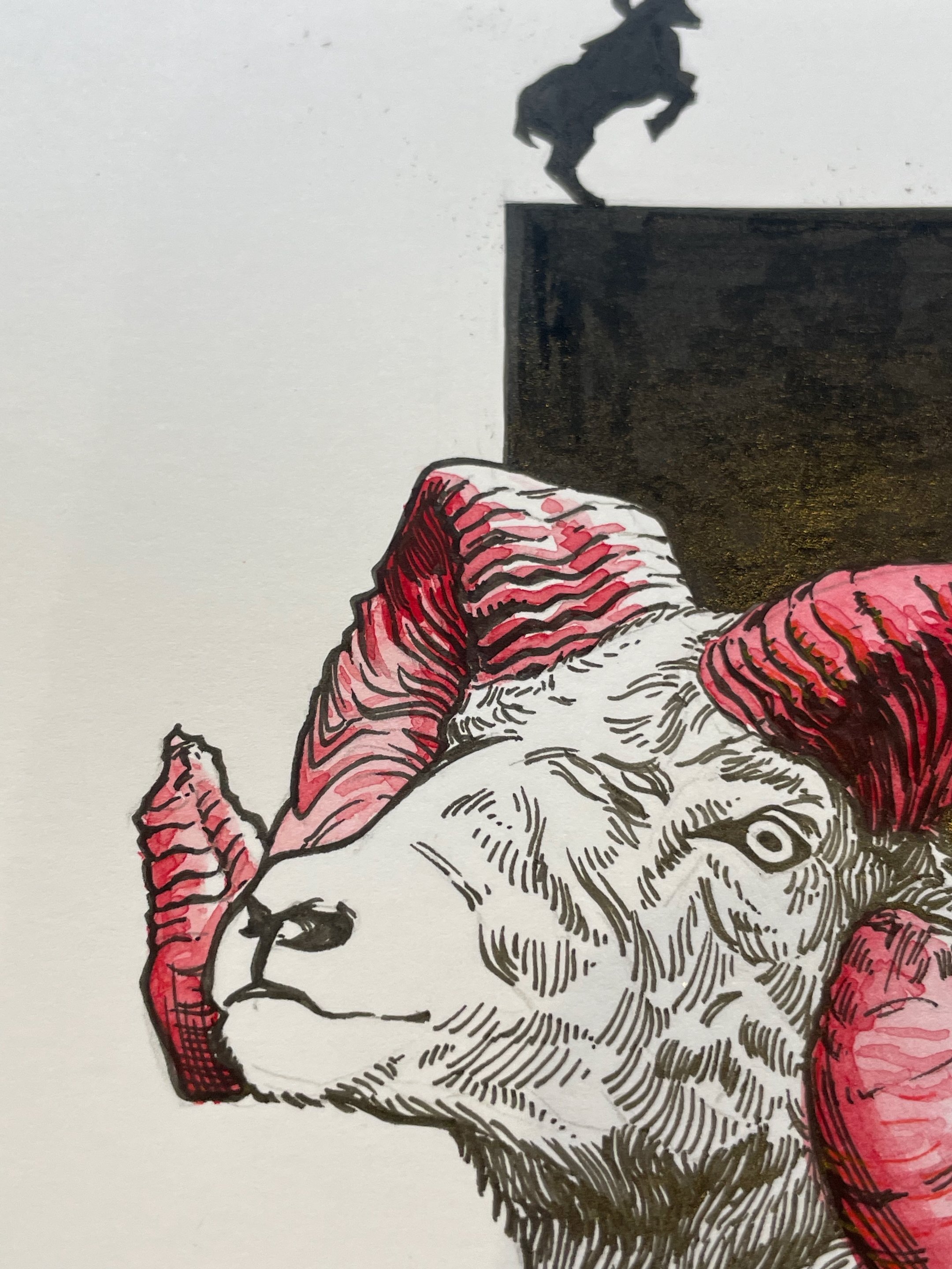 10.Goat - 5.jpeg