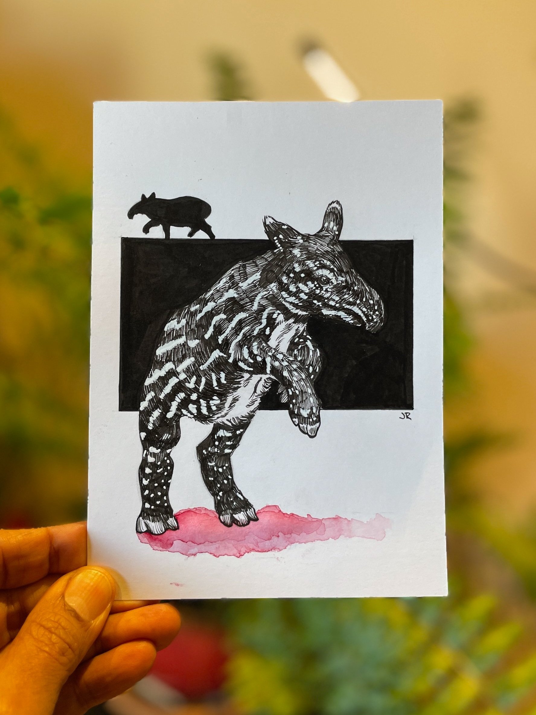 25.Malayan+Tapir+-+1.jpg