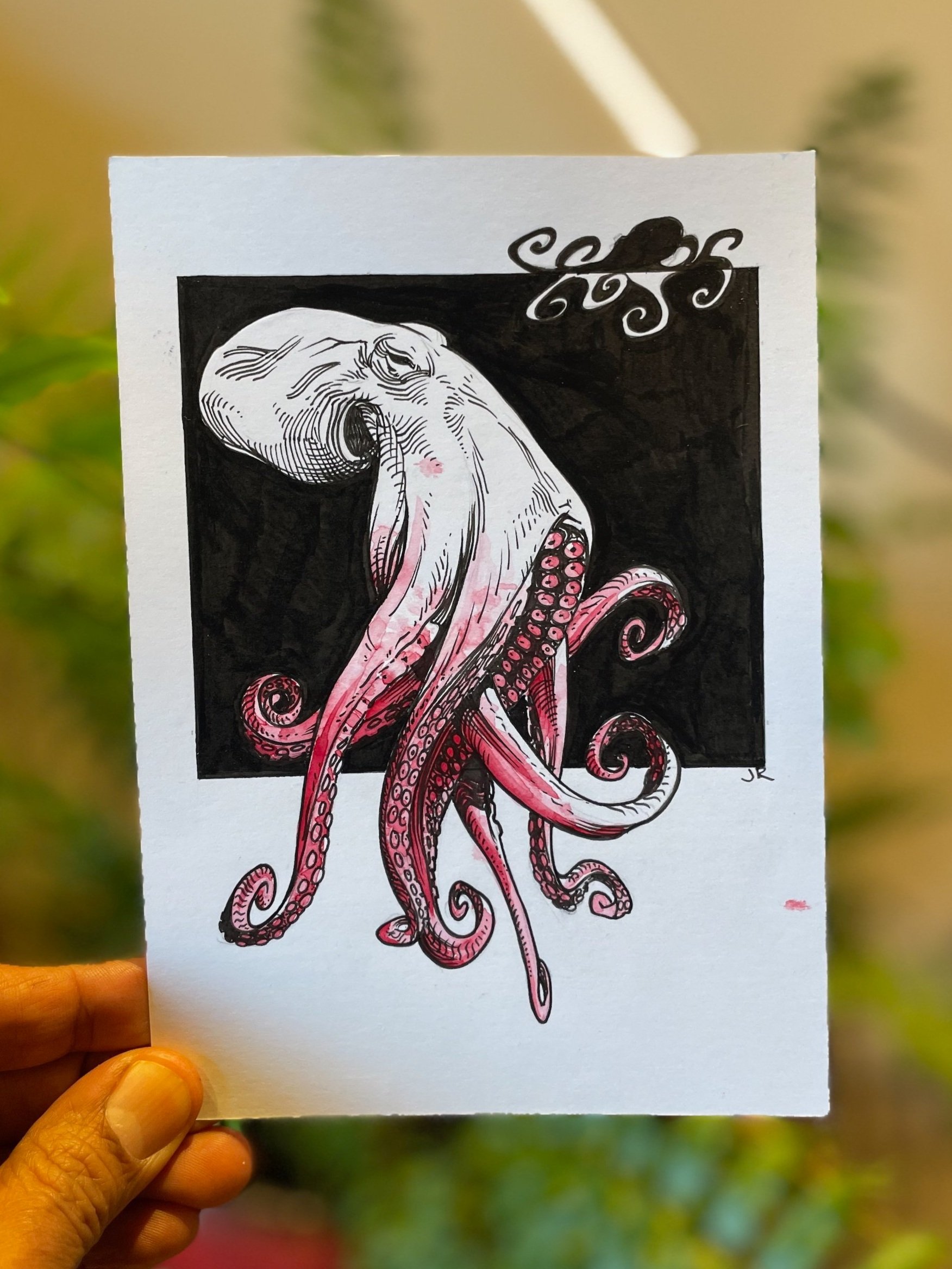19.Octopus+-+1.jpg