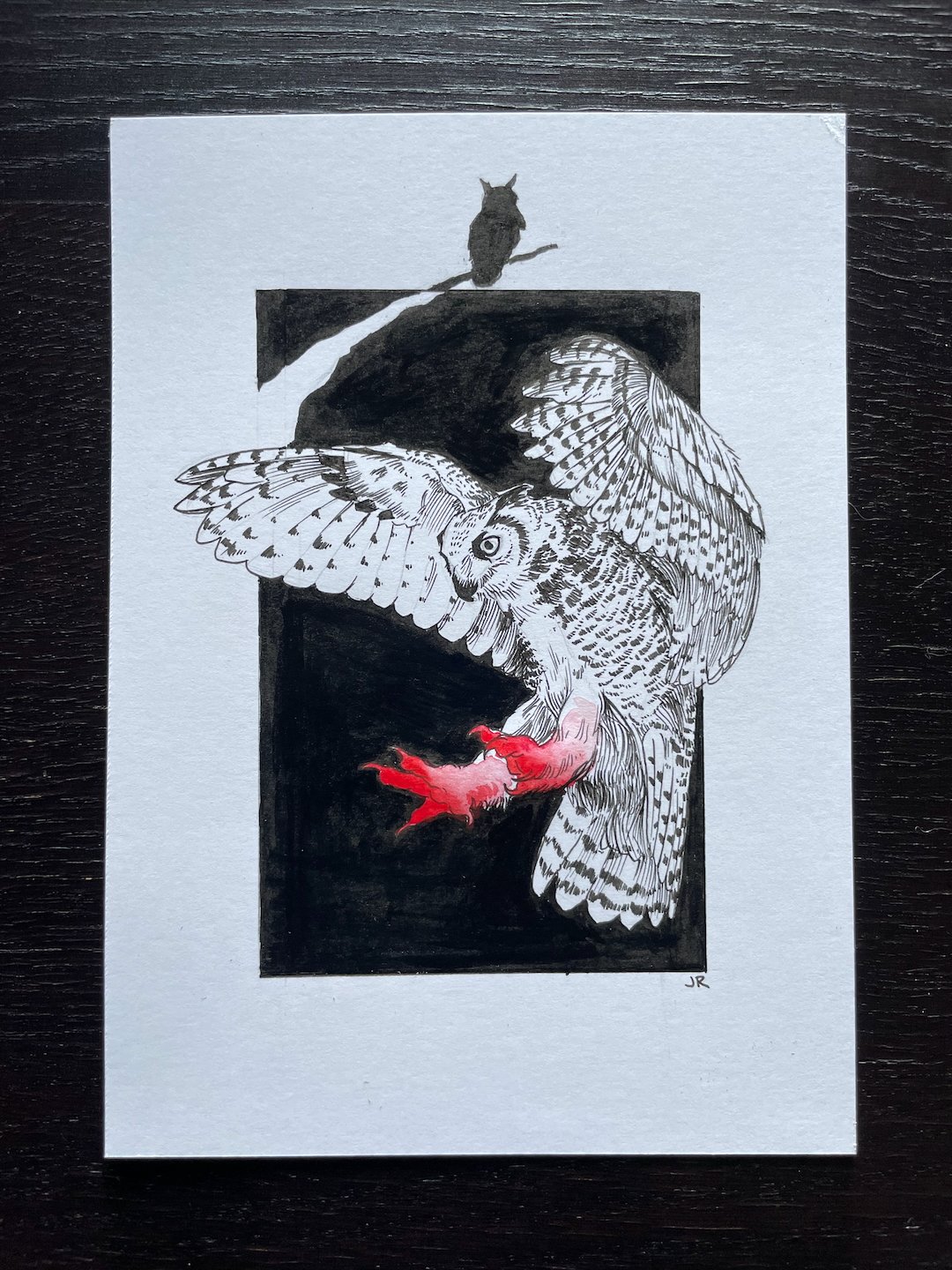 04-Owl - 3.jpeg