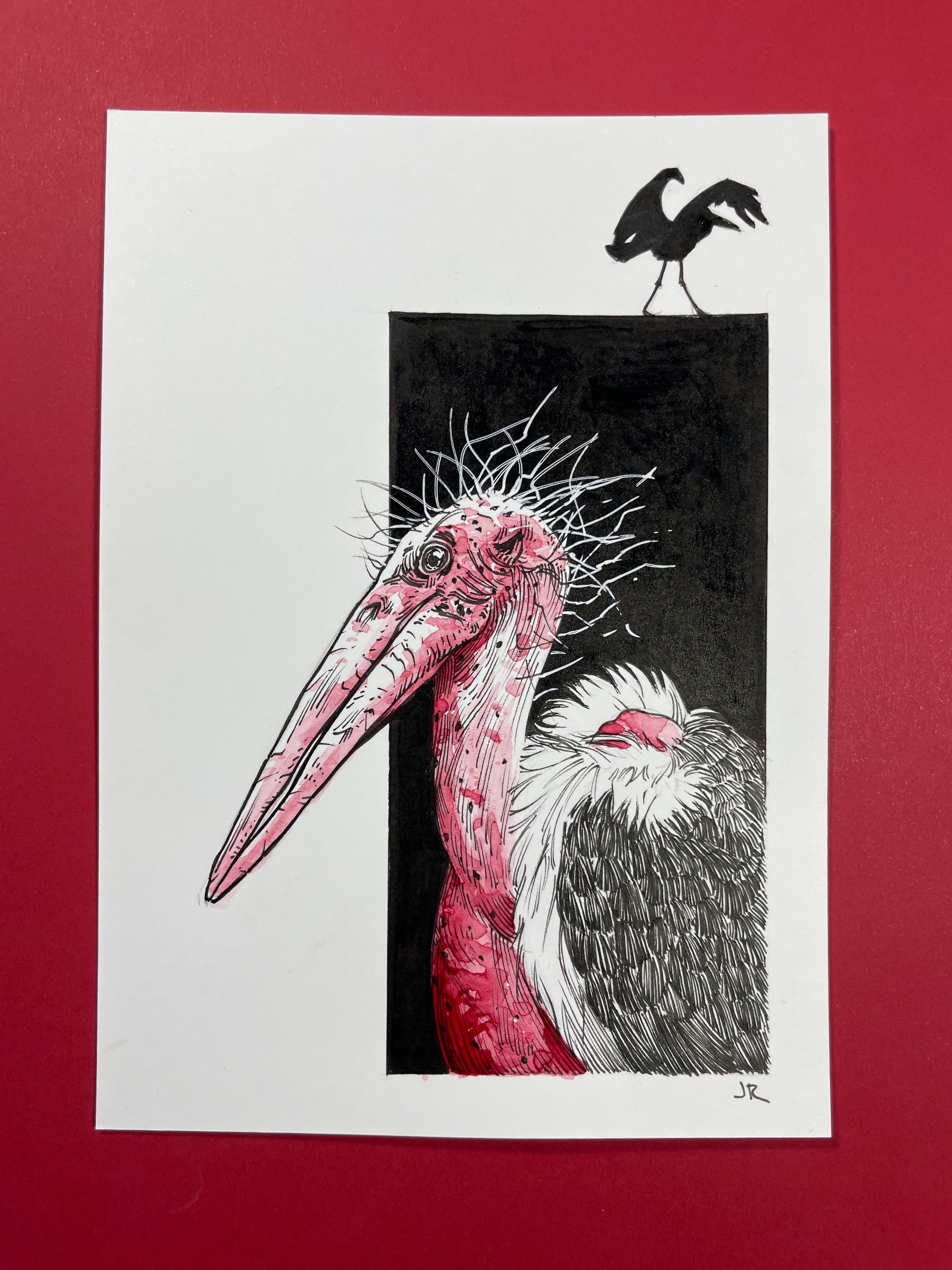 24.Marabou - 2.jpeg