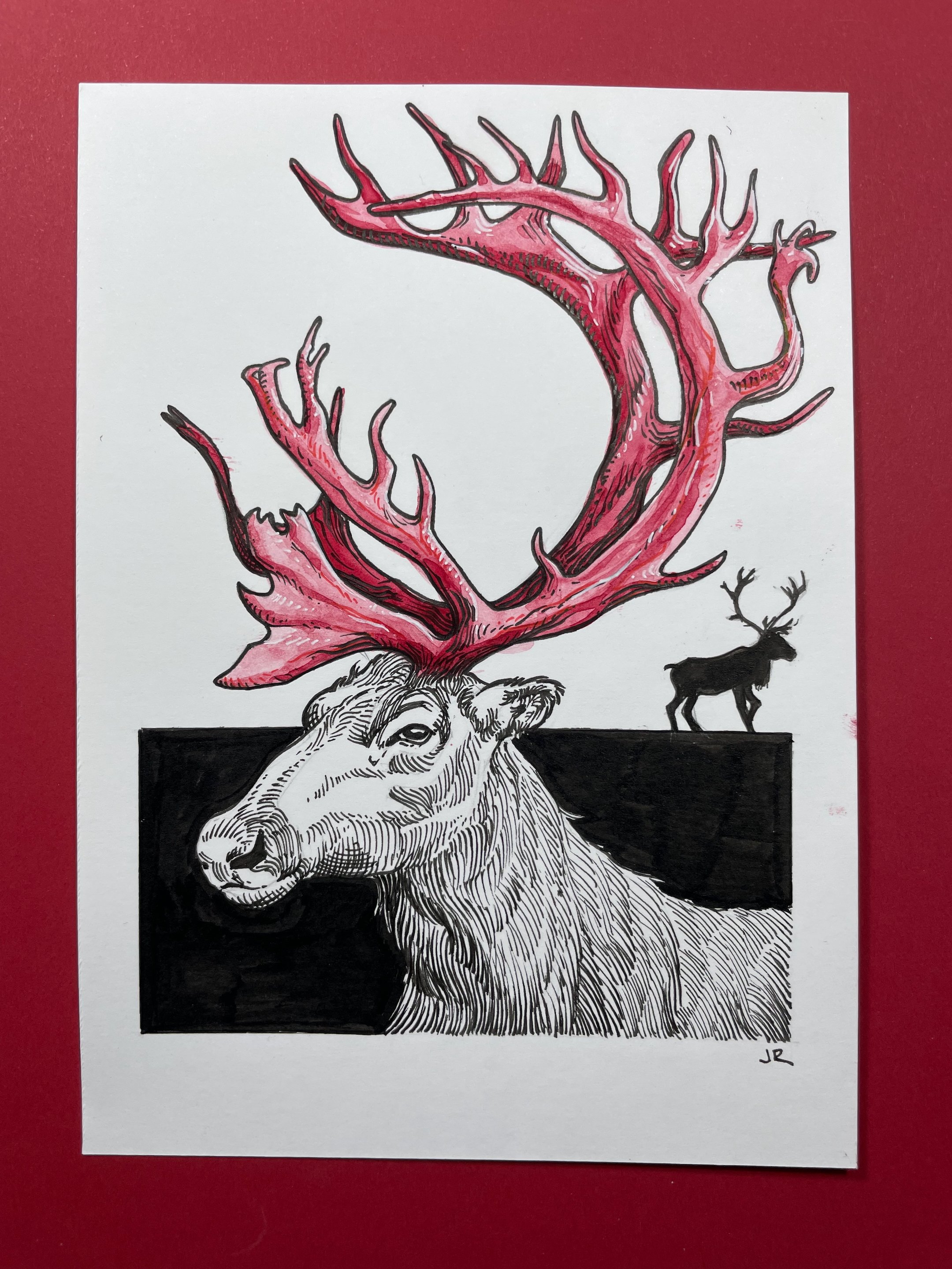 23.Caribou - 3.jpeg