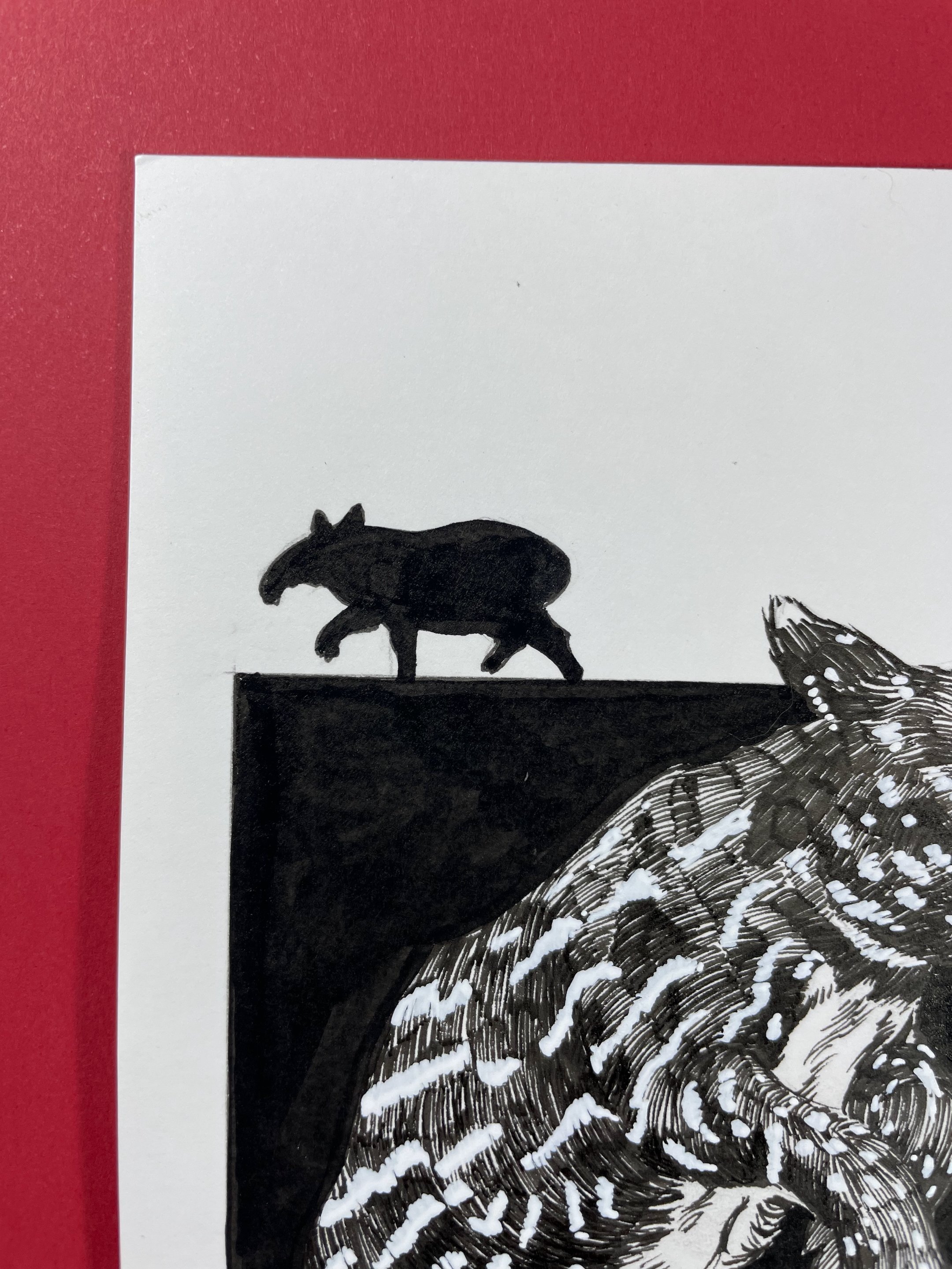 25.Malayan Tapir - 6.jpeg