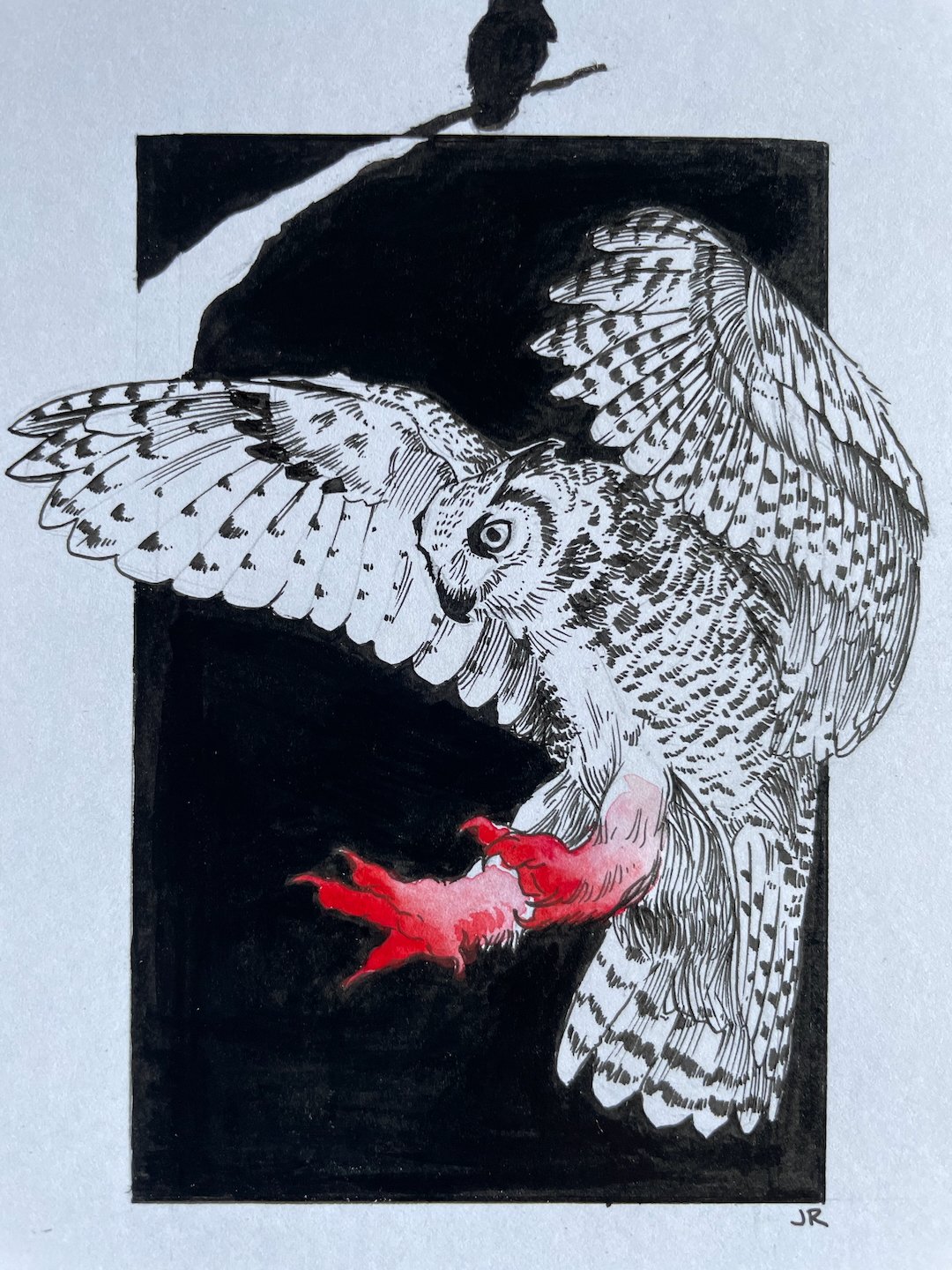 04-Owl - 7.jpeg