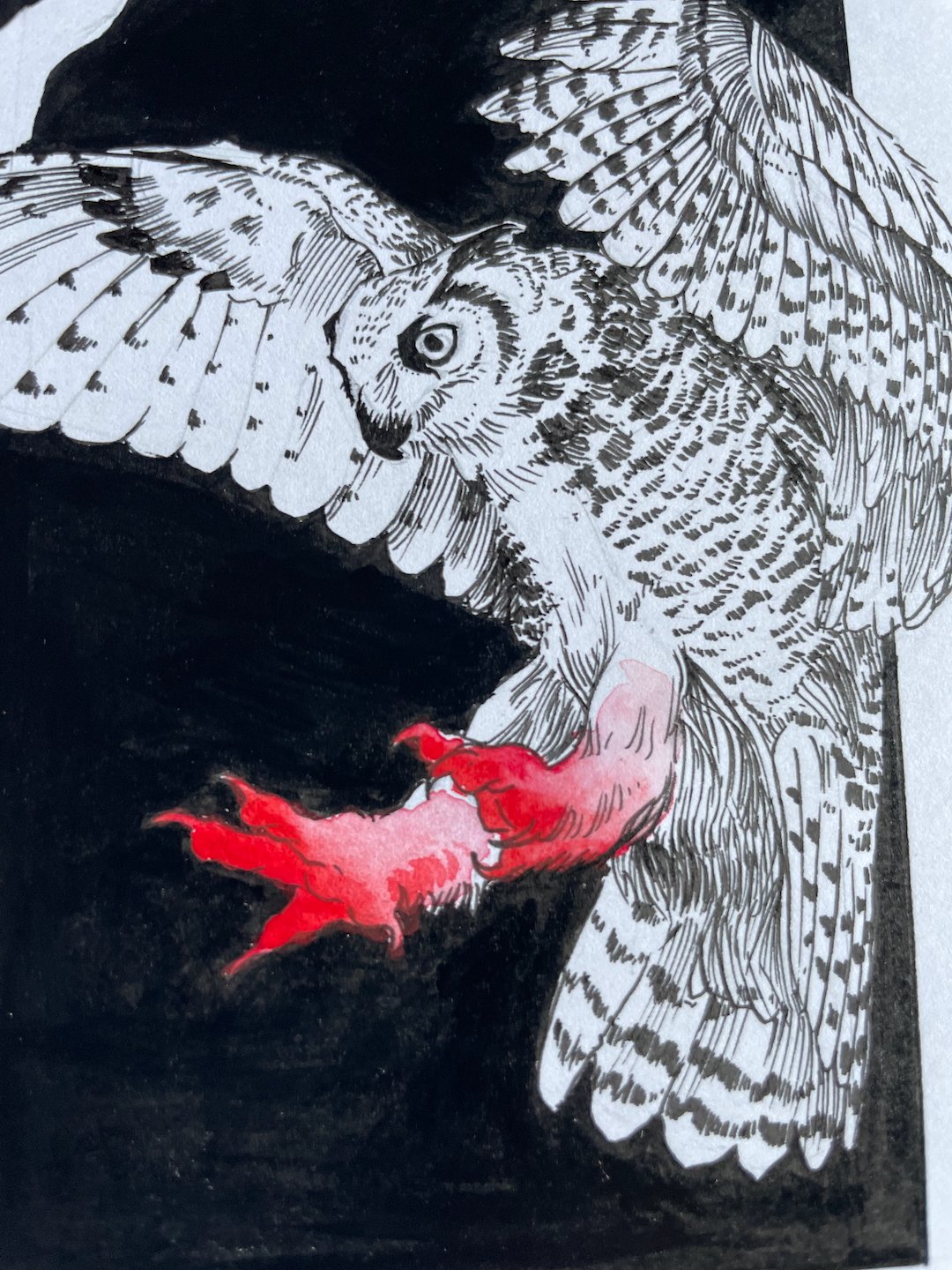 04-Owl - 5.jpeg