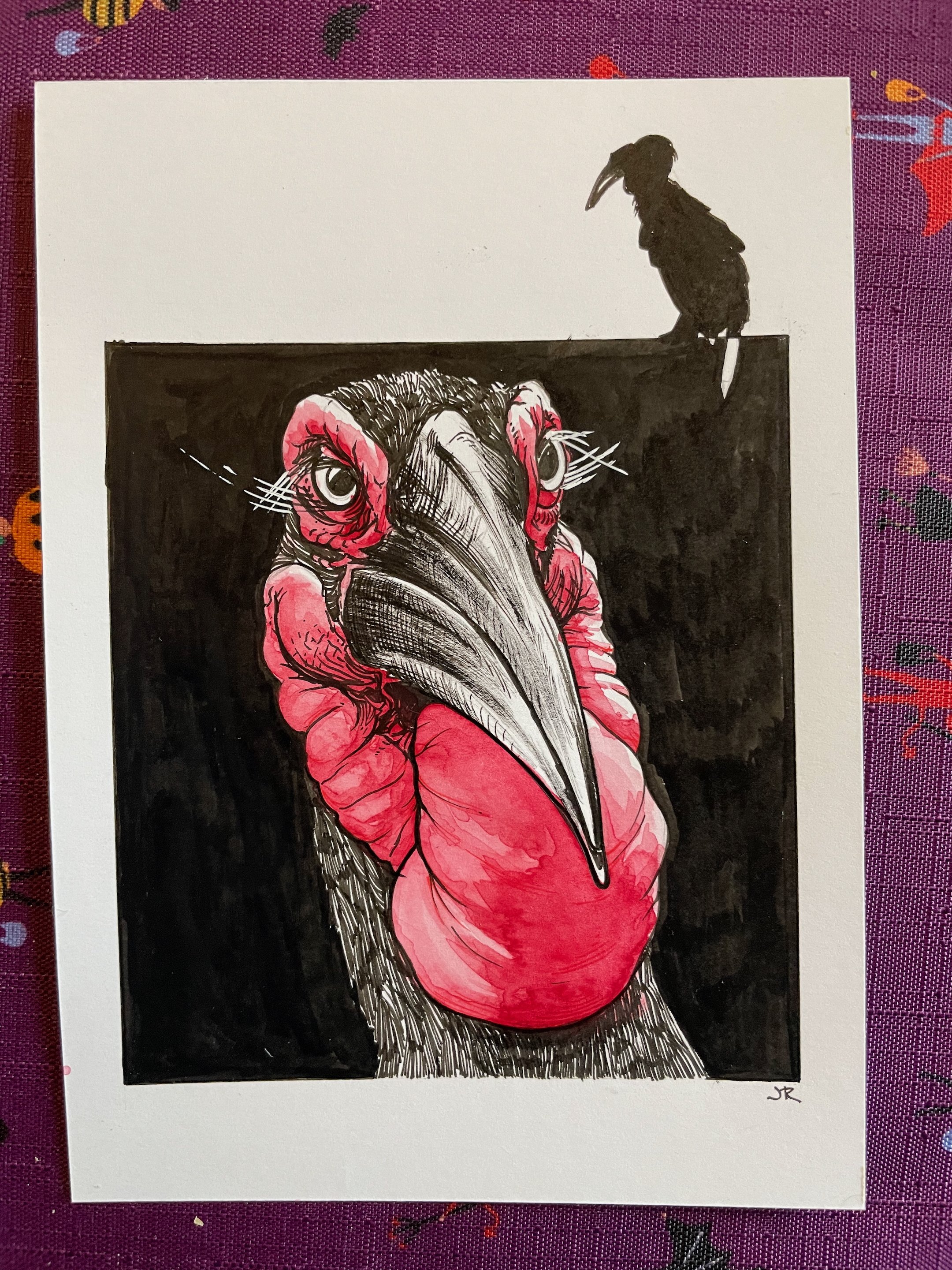 14.Hornbill - 3.jpeg