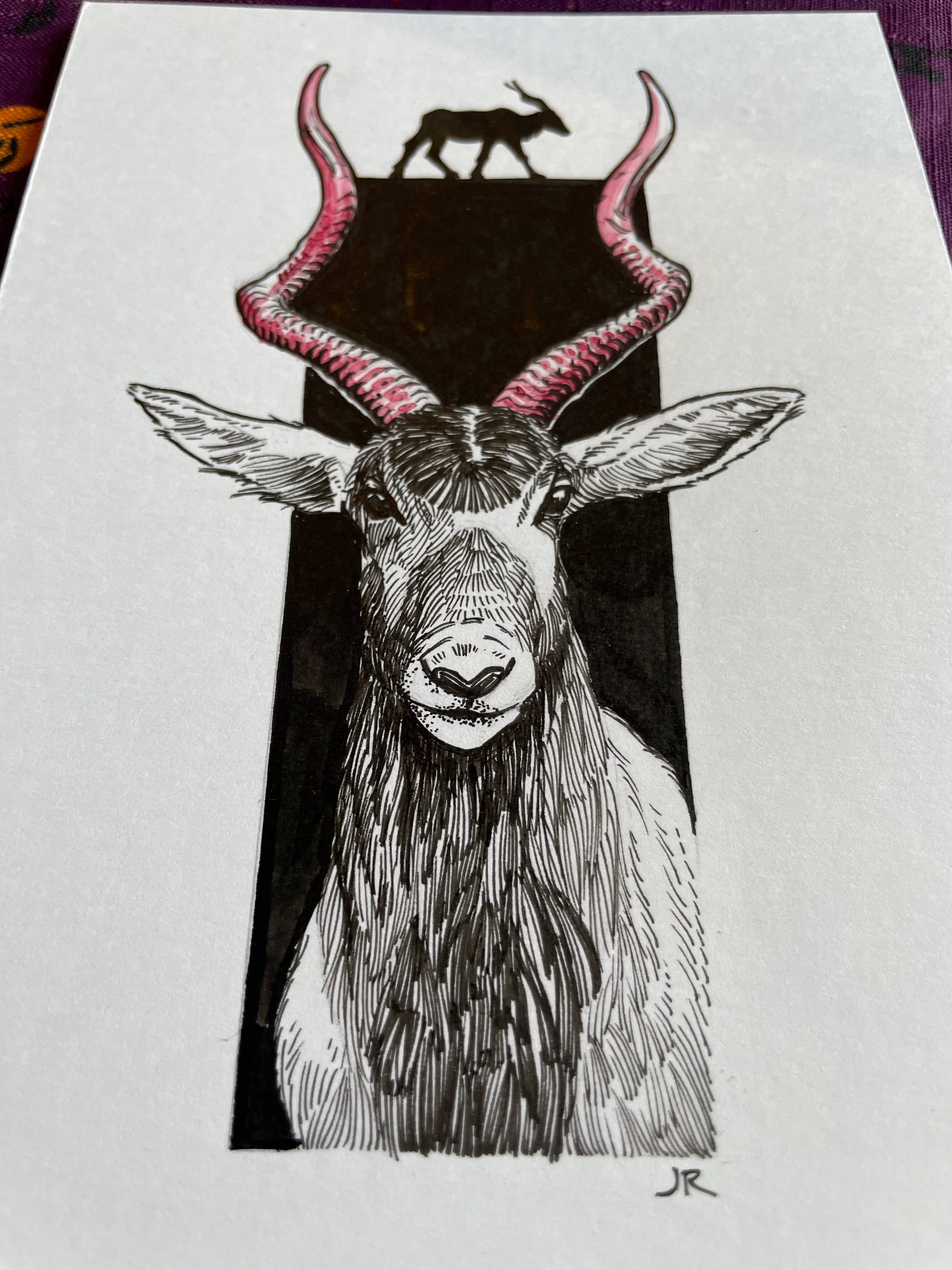 17.Addax - 4.jpeg