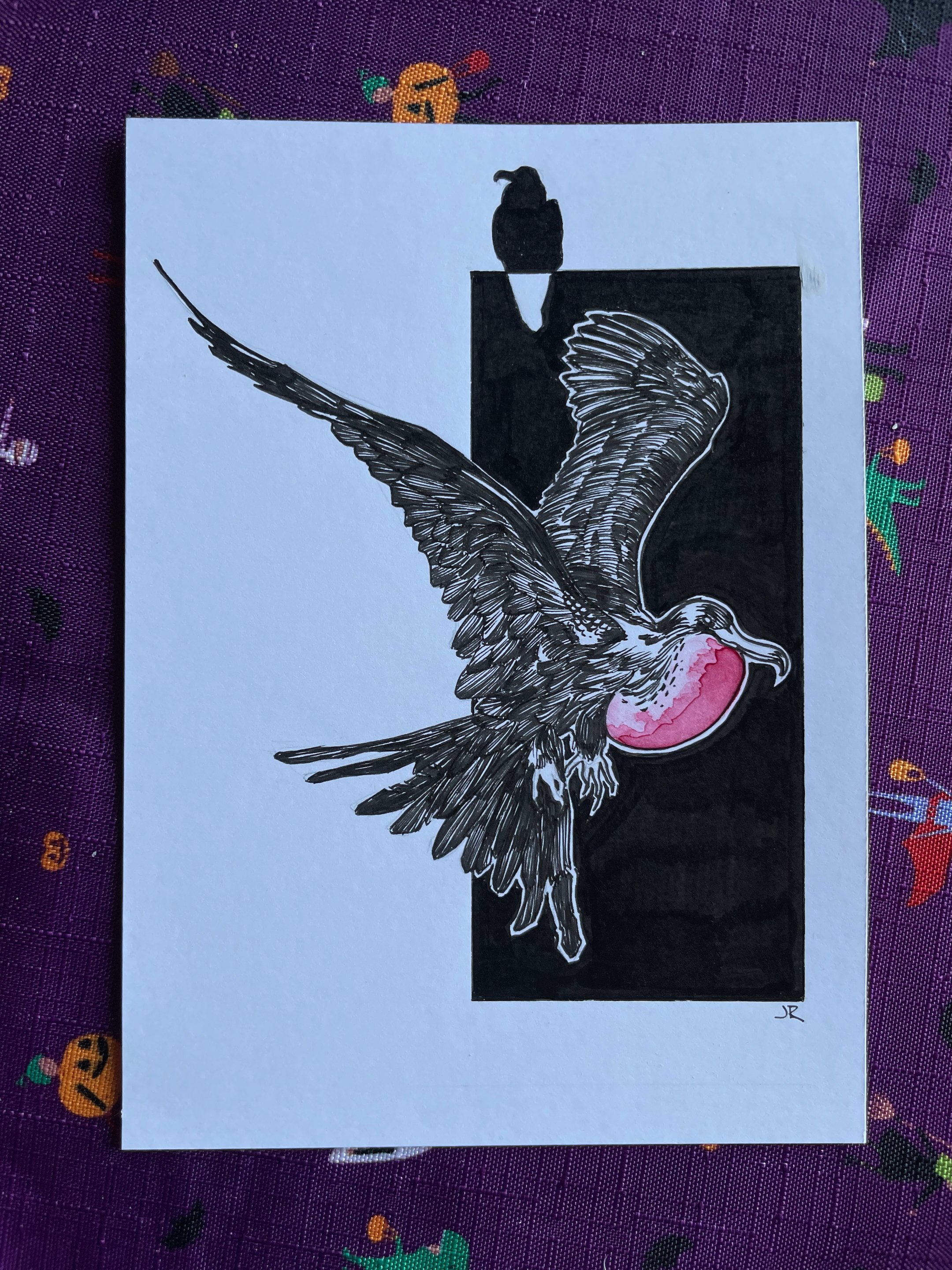 22.Frigate Bird - 2.jpeg