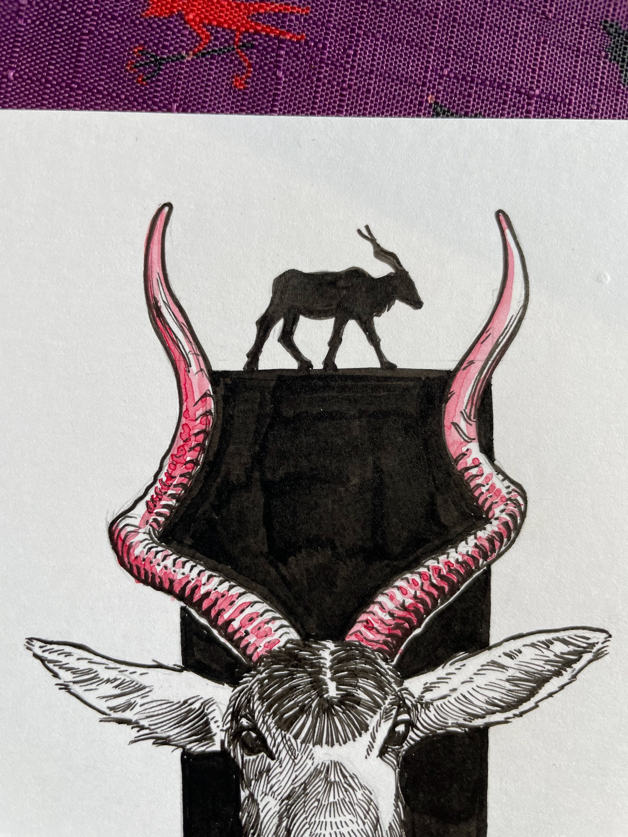 17.Addax - 5.jpeg