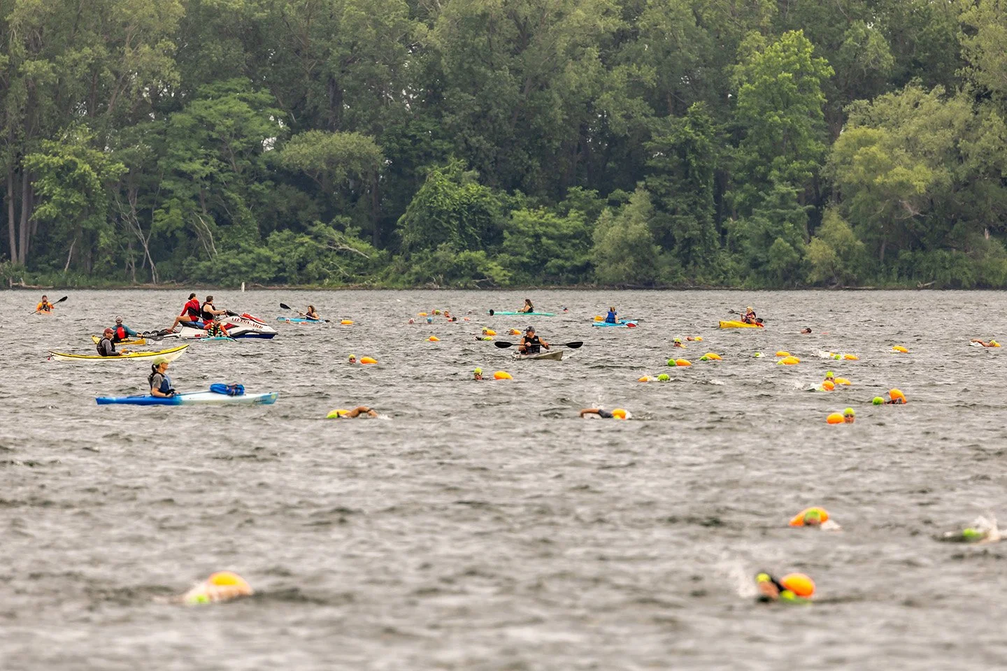 Uncommon Grit Bayfrog Swim 179 June 22, 2025-X5.jpg