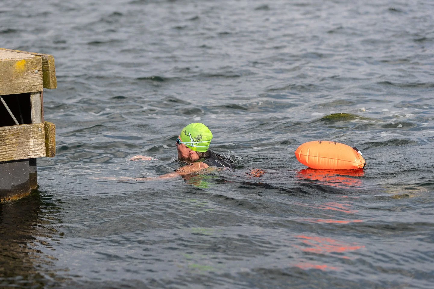 Uncommon Grit Bayfrog Swim 347 June 22, 2025-X5.jpg