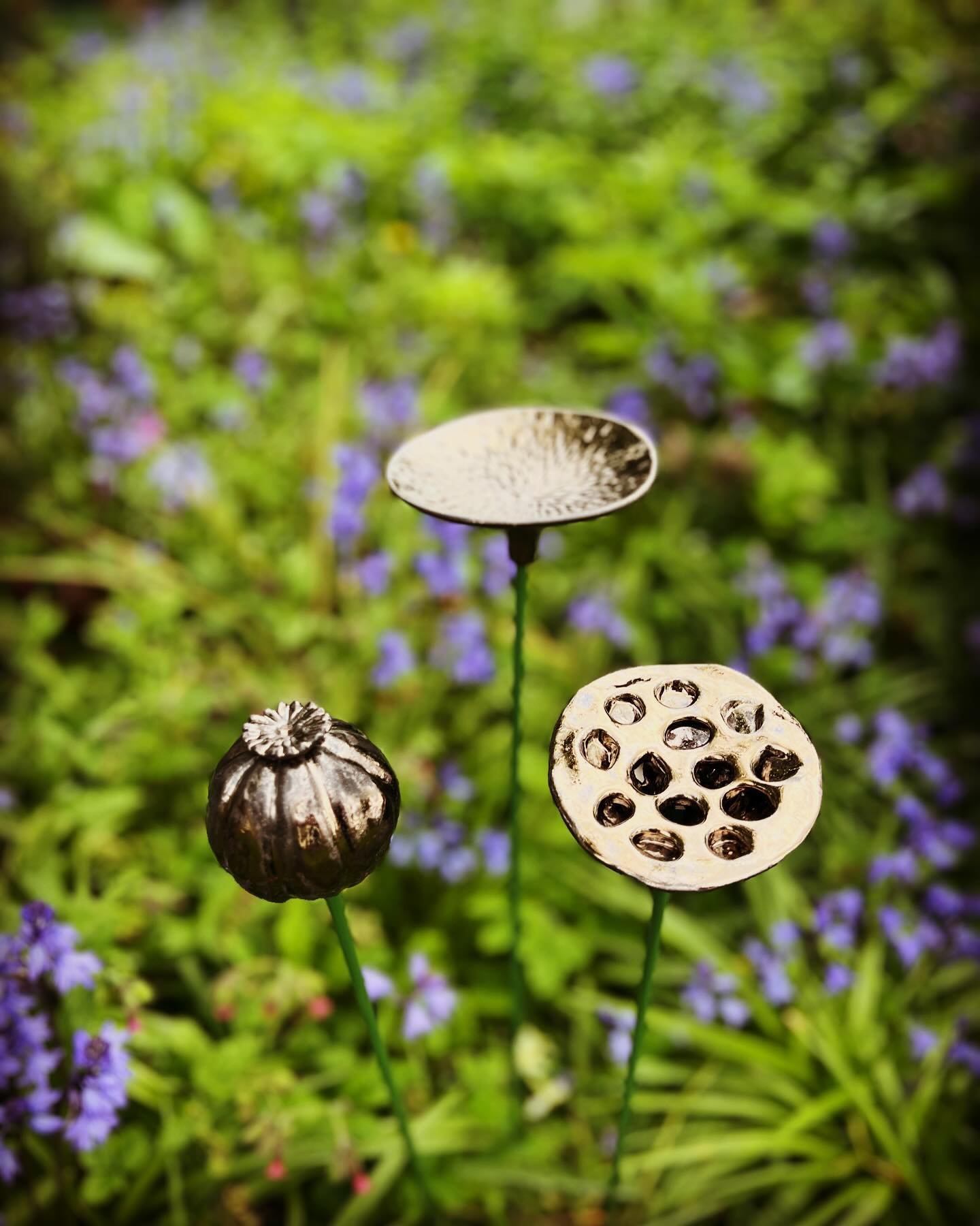 Really pleased with how this gold glaze has turned out on my seed pod ornaments. I raw glazed them to cut down on my use of electricity. It&rsquo;s all in aid of developing work for the Lympstone Flower Festival in June and creating a new pottery wor