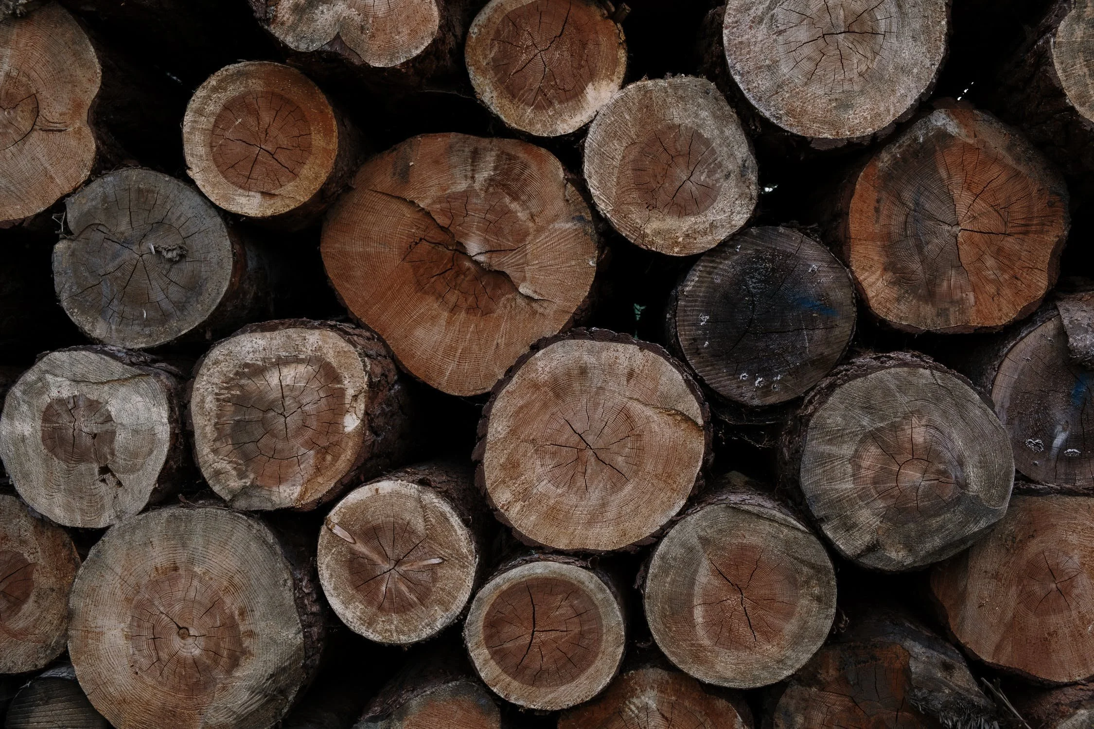 A stack of freshly cut timber logs displays the natural wood grain and growth rings of raw construction materials.