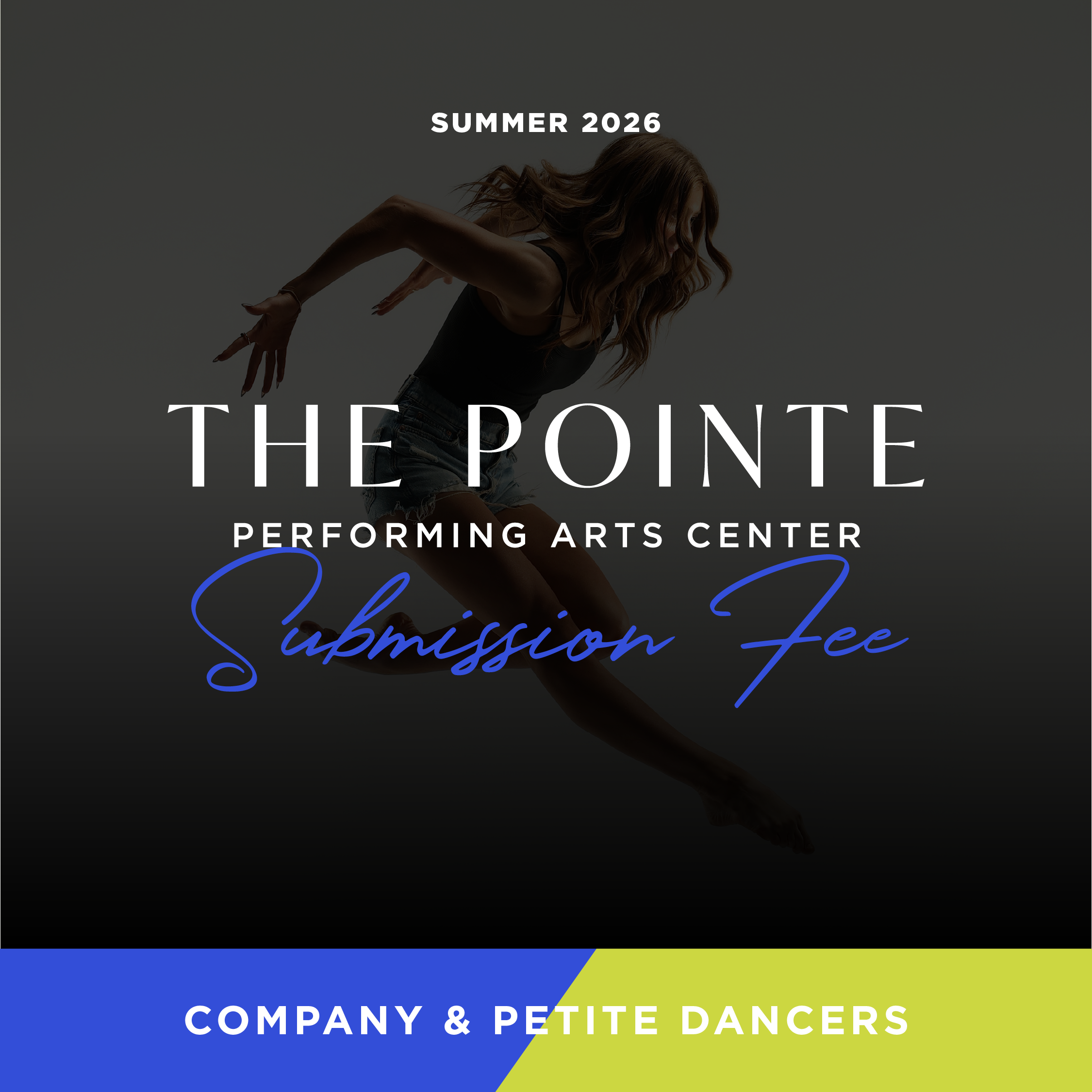 Company & Petite Company Submission Fee