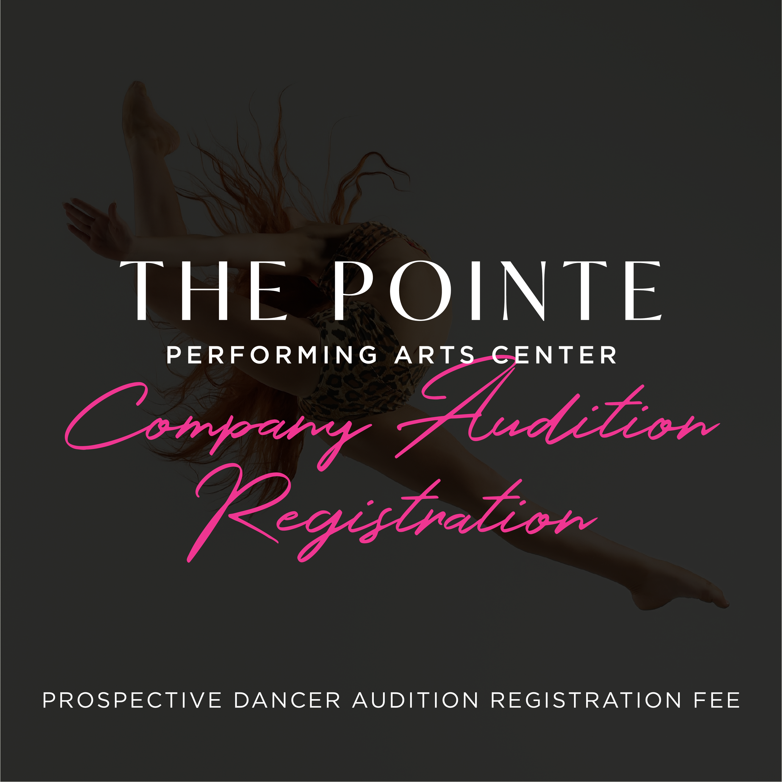 Company Audition Registration IMG.png