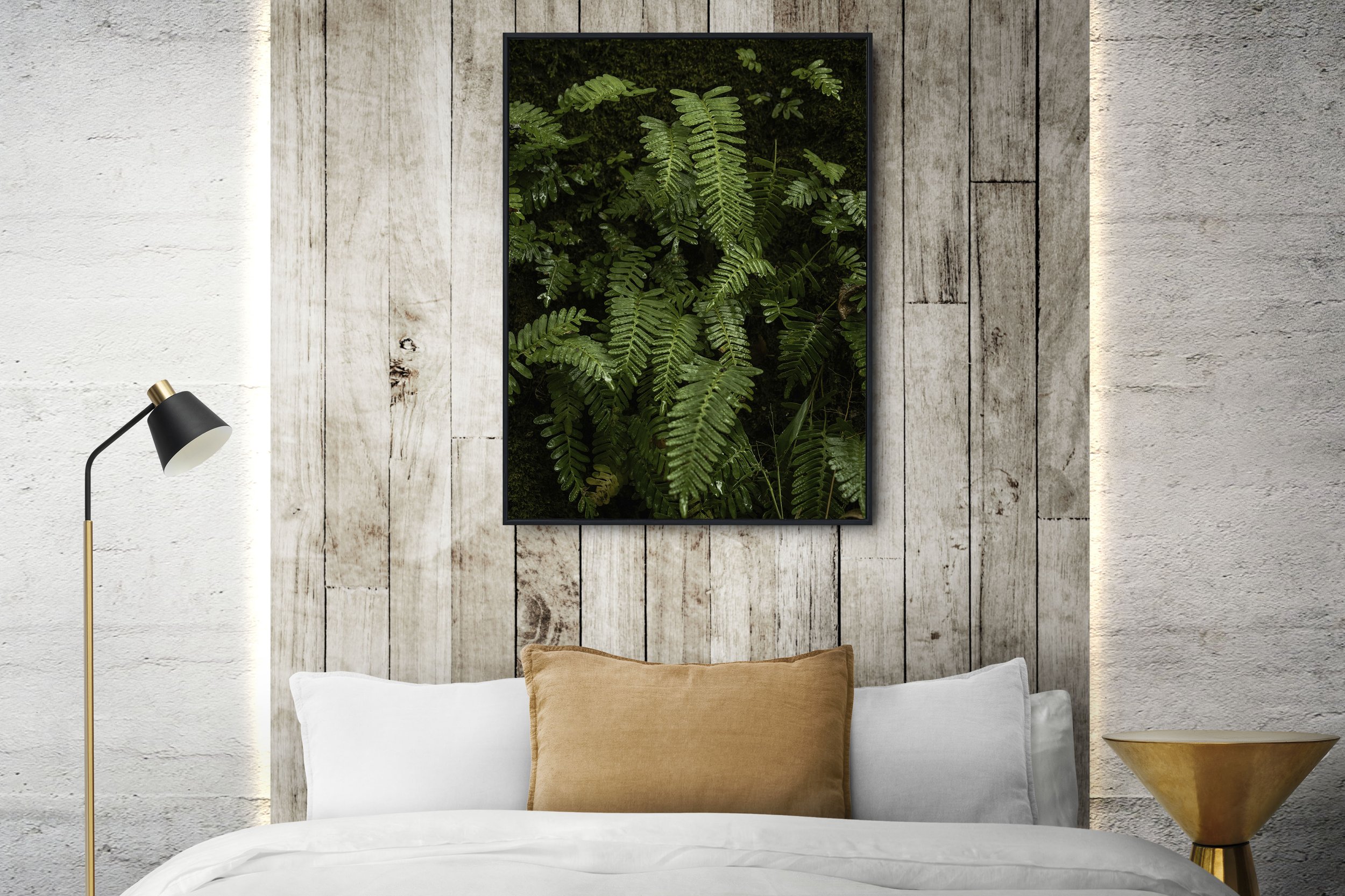Caddo Forest Ferns-moody landscape photography print-Stephanie Saldivar.jpg