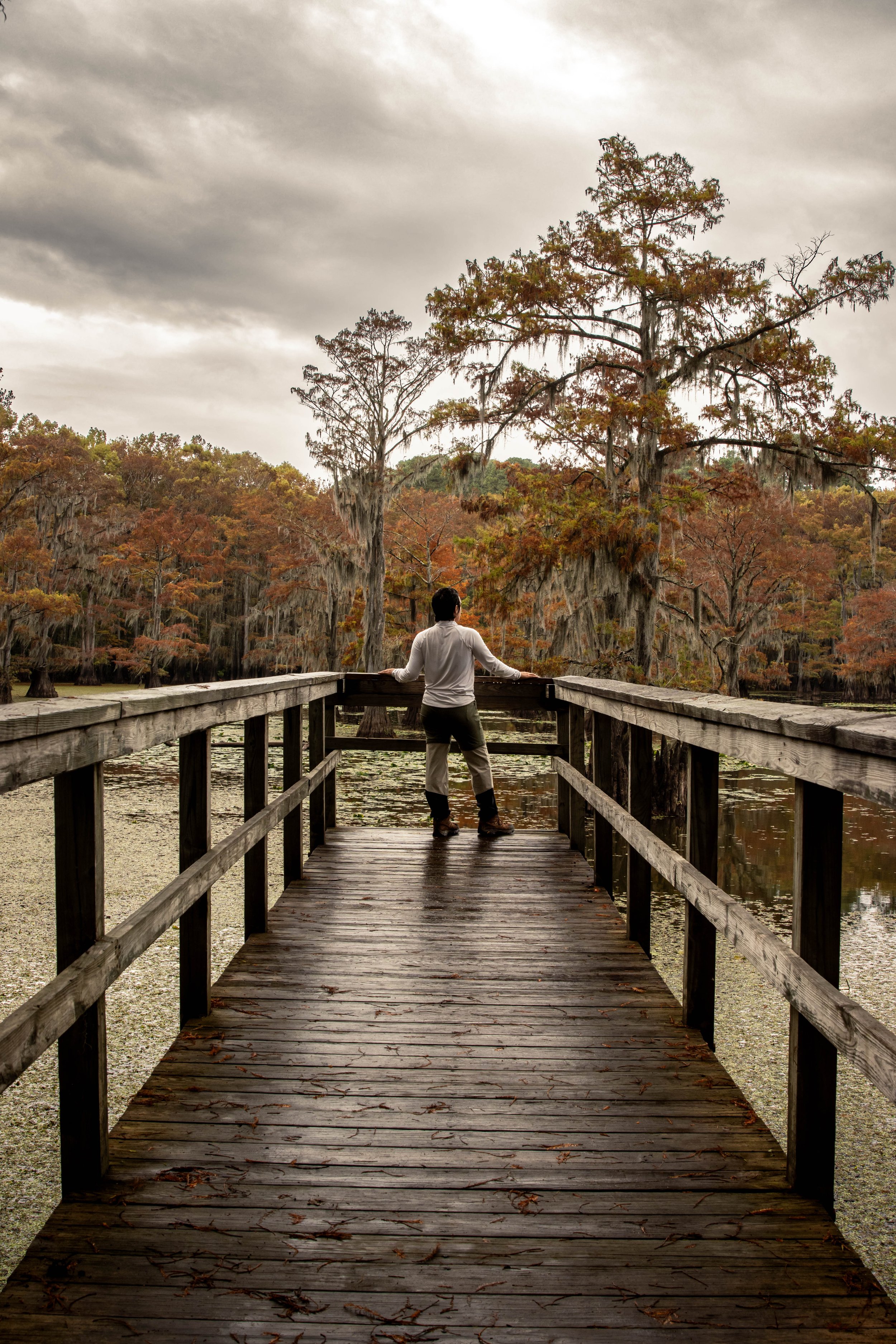 A Journey Through the Texas Rainforest: Caddo Lake State Park