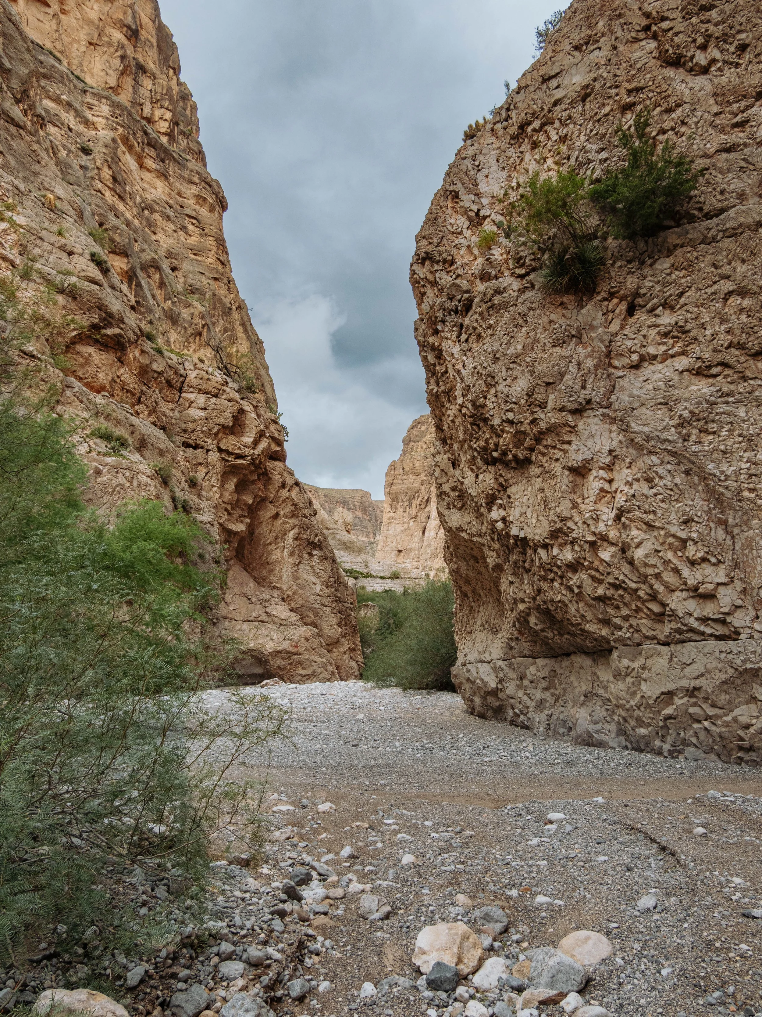 P1010296.jpg