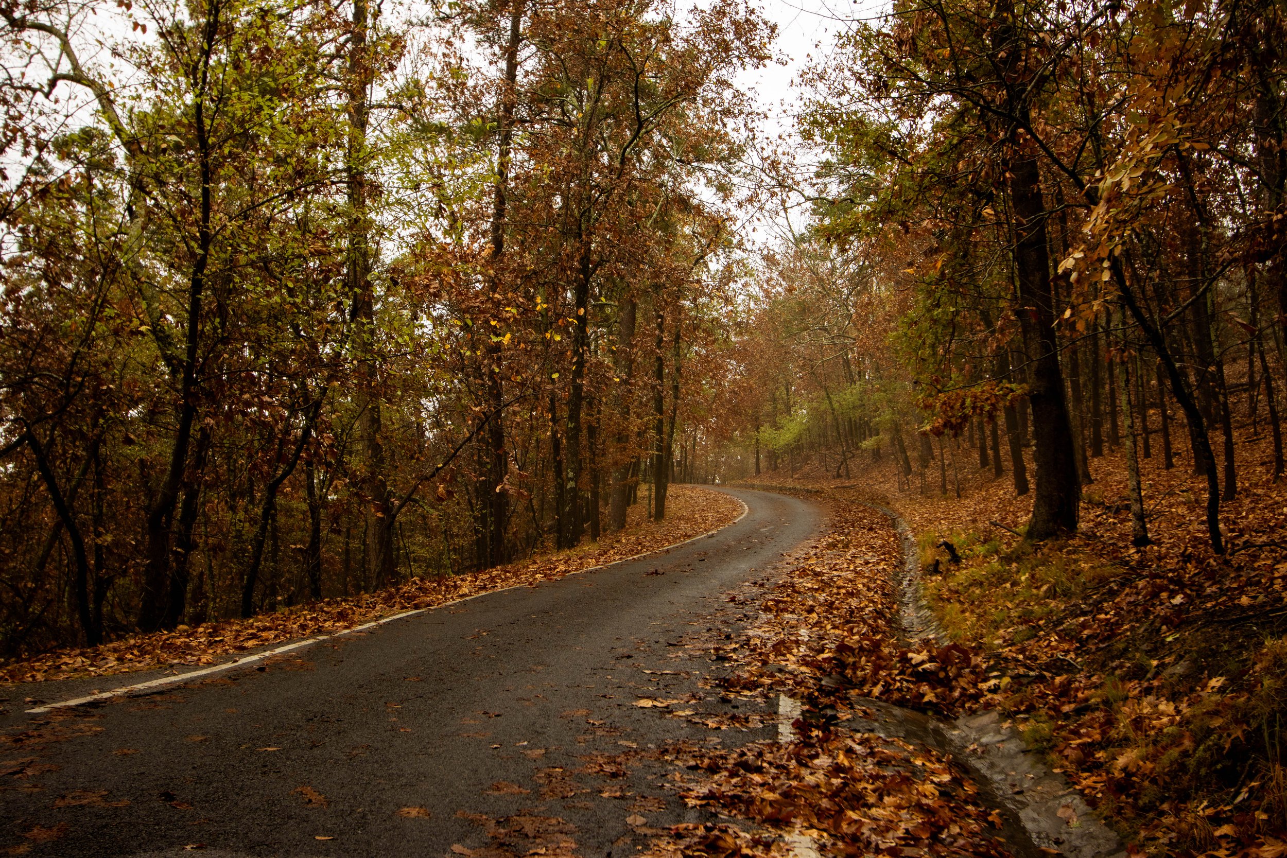 Hot Springs National Park Arkansas-landscape photography-Stephanie Saldivar.jpg