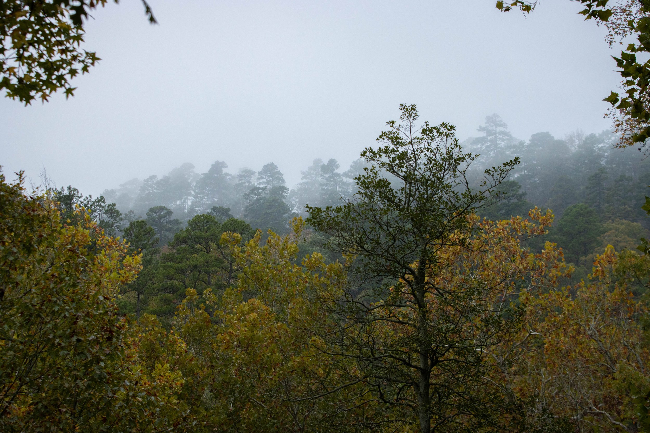 Arkansas-Hot Springs National Park-fall foliage-landcape photography-Stephanie Saldivar.jpg