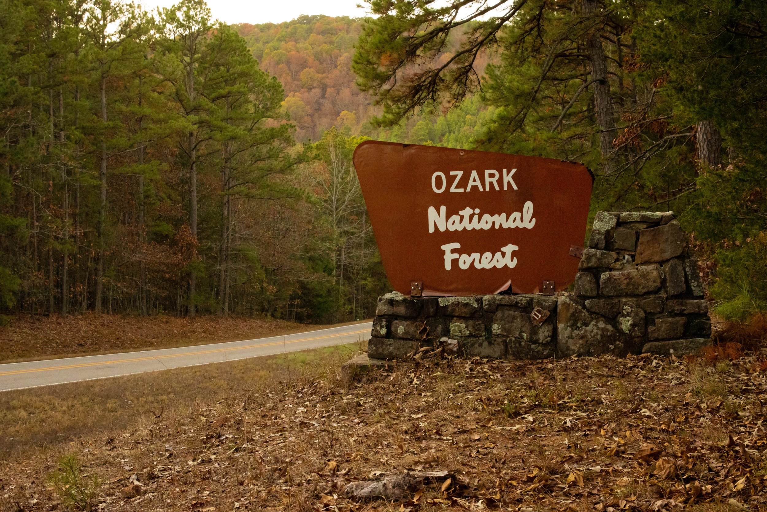Ozark National Forest-travel photography-Natural State-Stephanie Saldivar.jpg