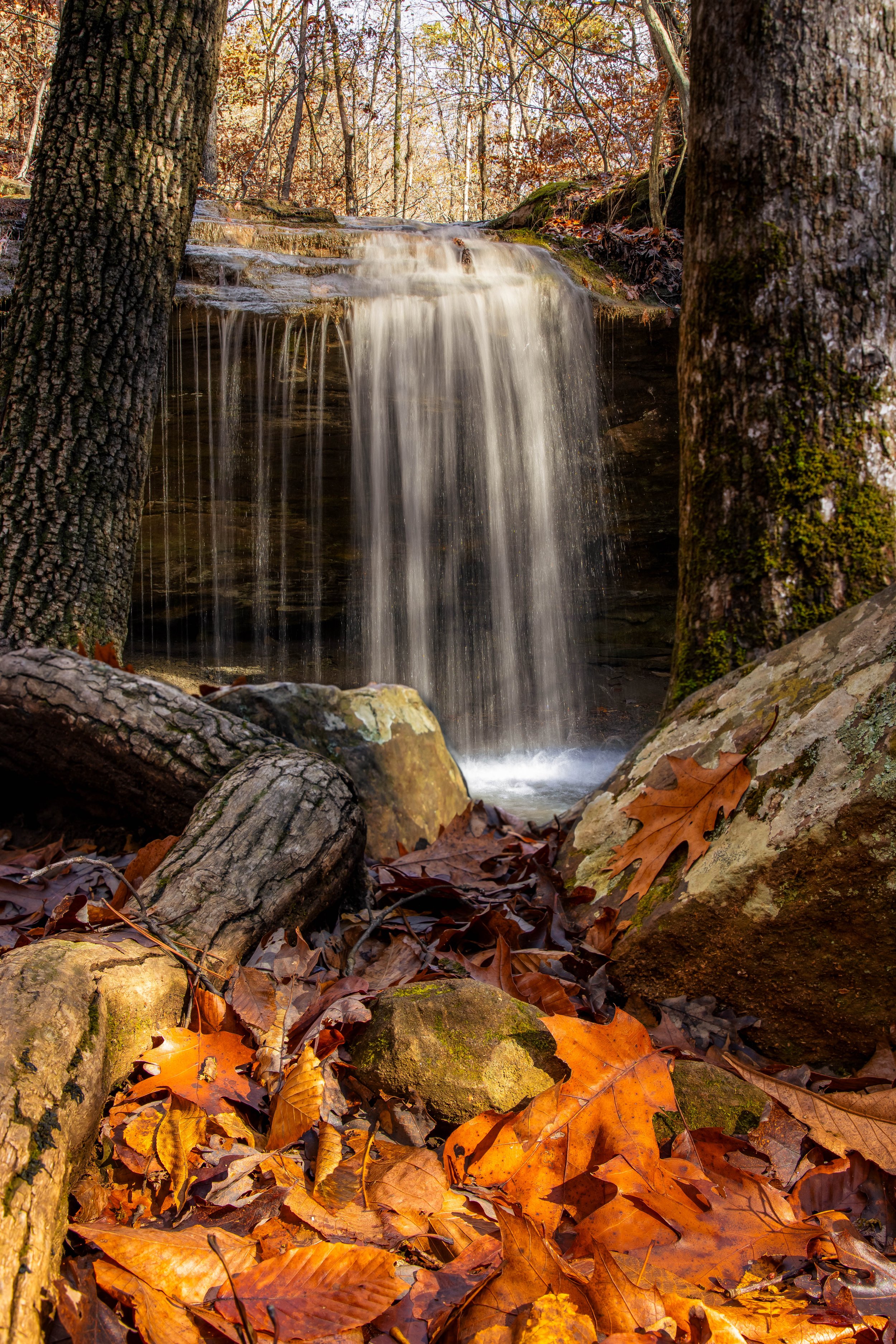 Ozark National Forest-waterfall-fall foliage- long exposure photography-Stephanie Saldivar.jpg