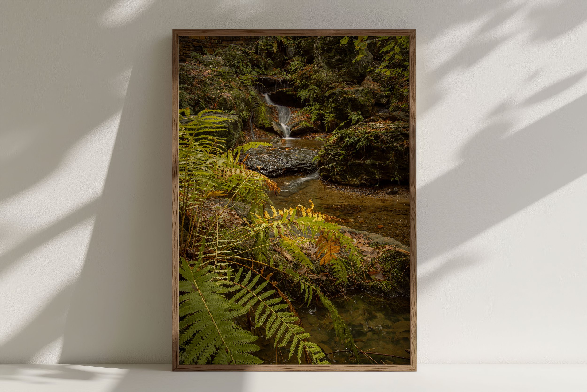 Garvan Woodland Gardens-Hot Springs Arkansas-landscape long exposure photography-Stephanie Saldivar.jpg
