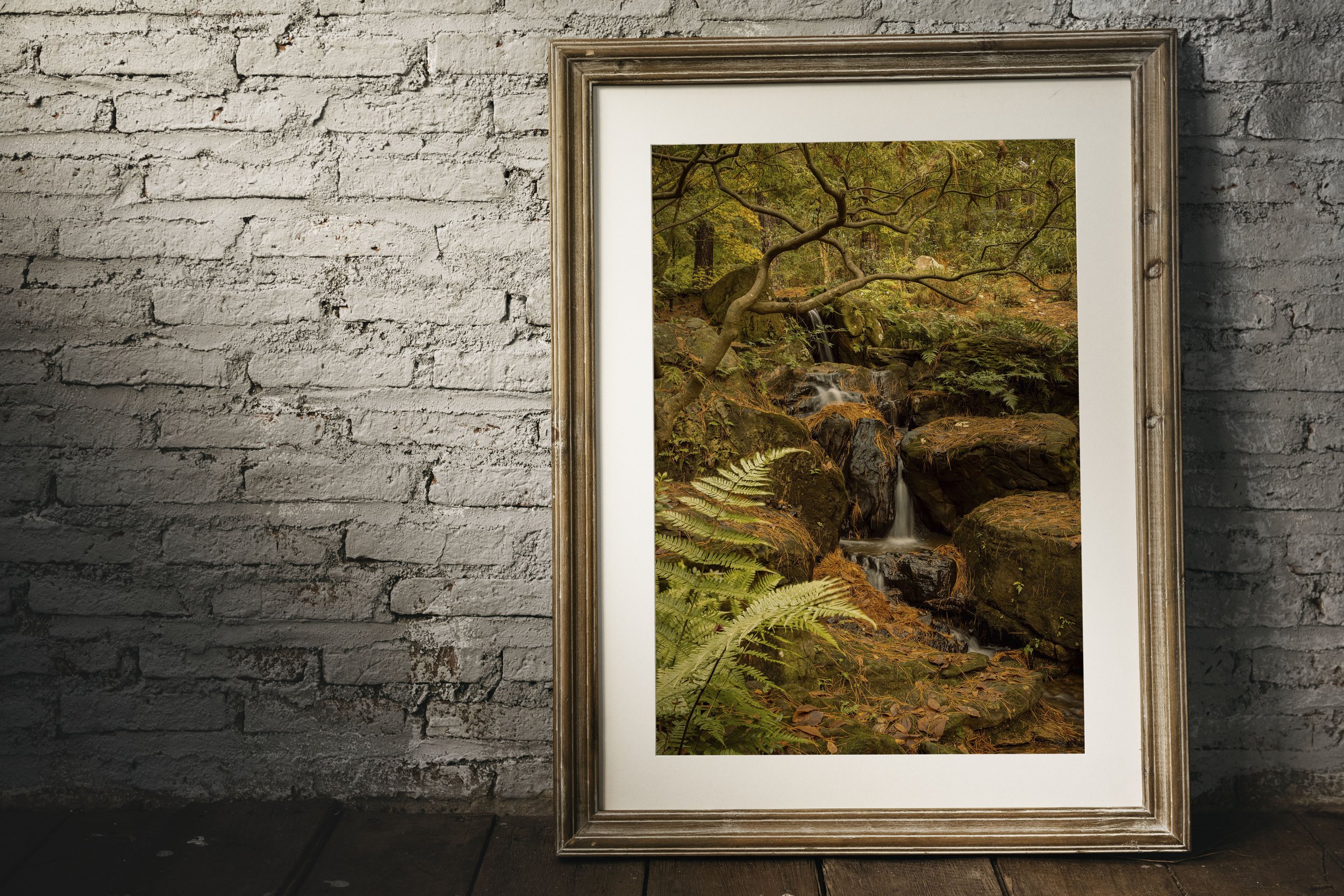 Garvan Woodland Gardens-Japanes Maple-Hot Springs Arkansas-landscape long exposure photography-Stephanie Saldivar.jpg