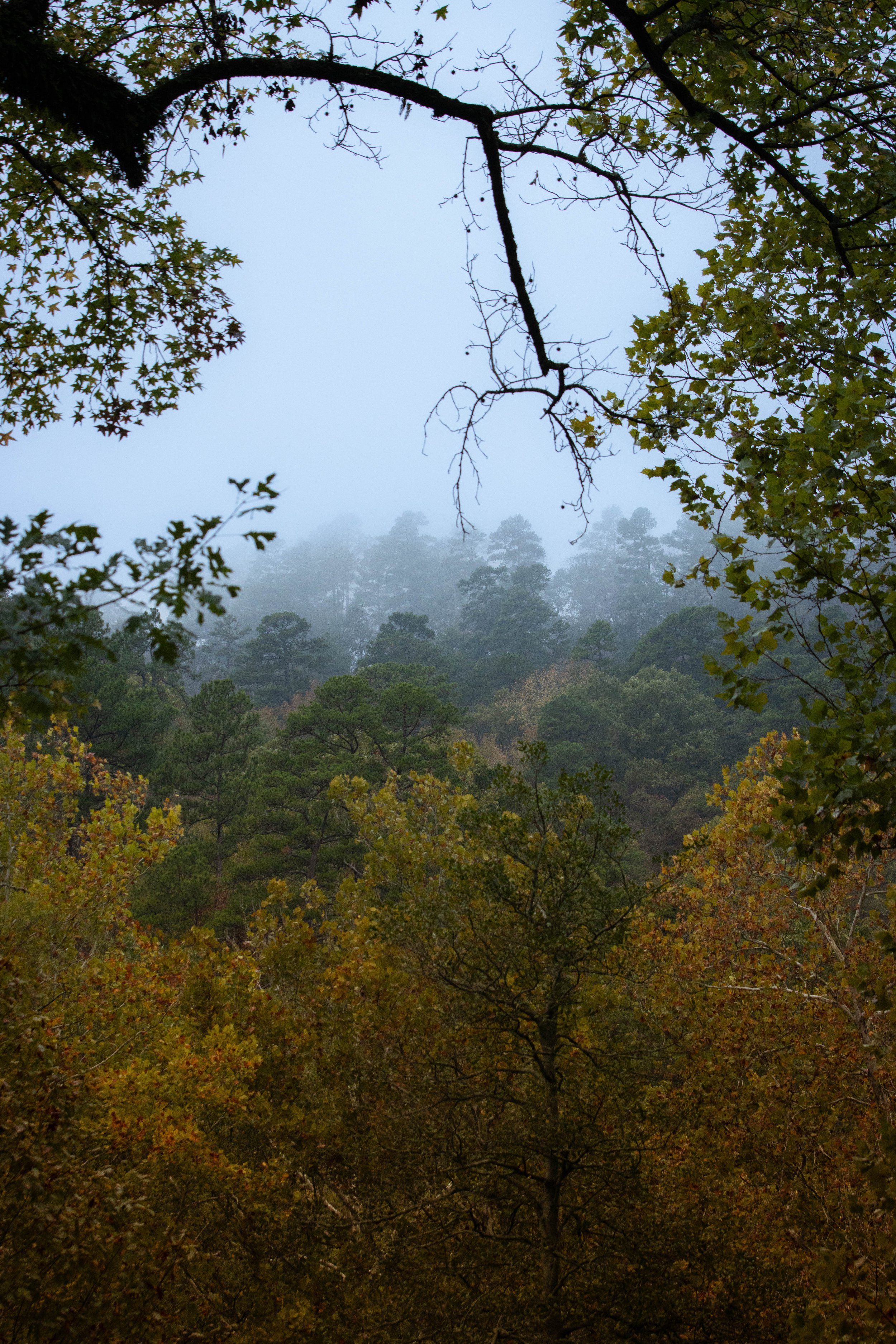Hot Springs National Park-Arkansas-landcape photography-fall foliage-Stephanie Saldivar.jpg