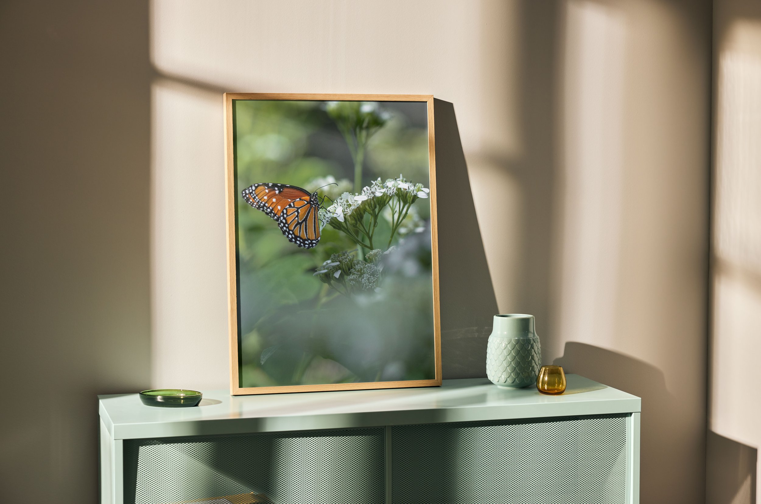 Queen butterfly flower-macro photography-Stephanie Saldivar-print.jpg