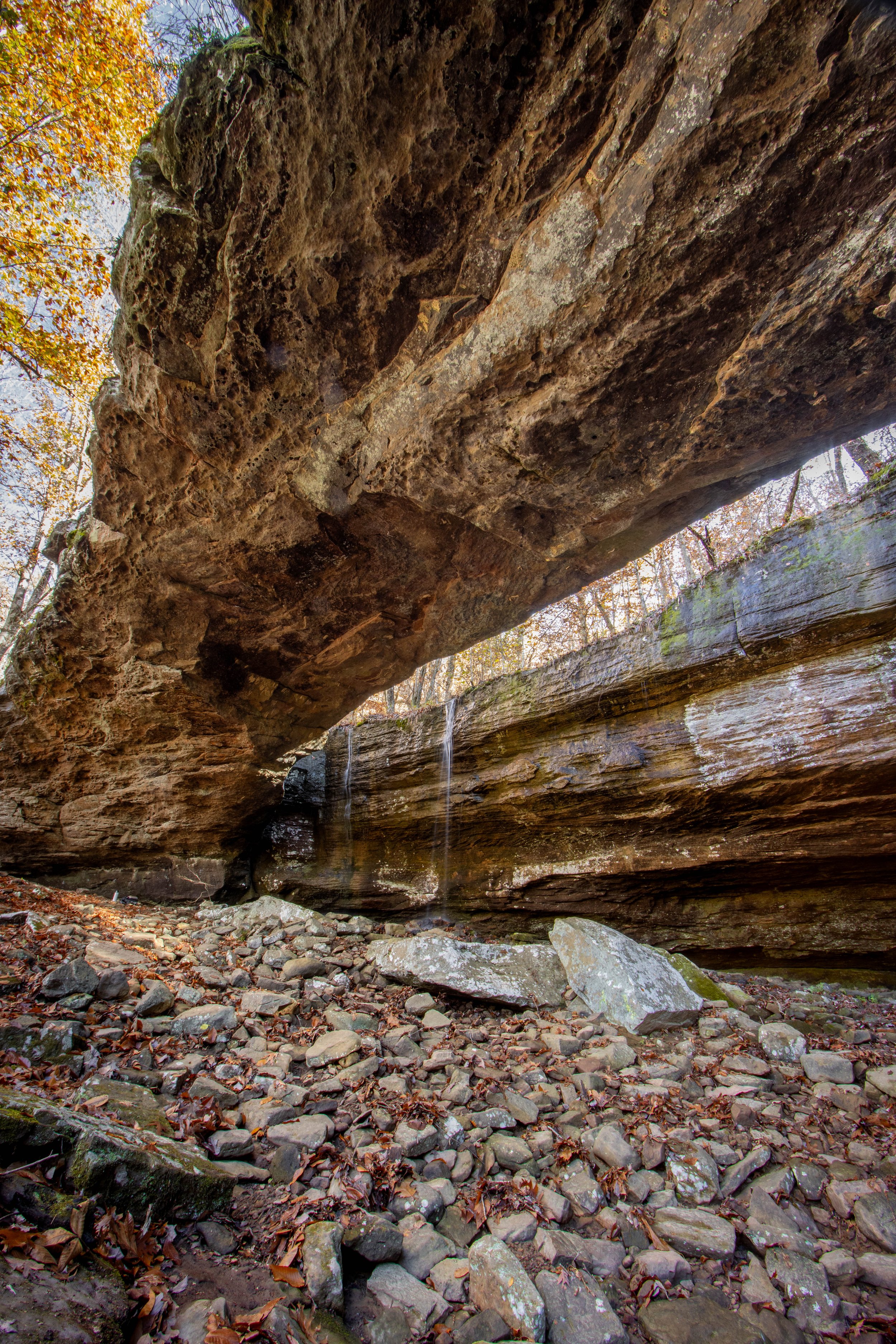 Ozark National Forest-Alum Cove-Natural Bridge-landscape photography-Stephanie Saldivar.jpg