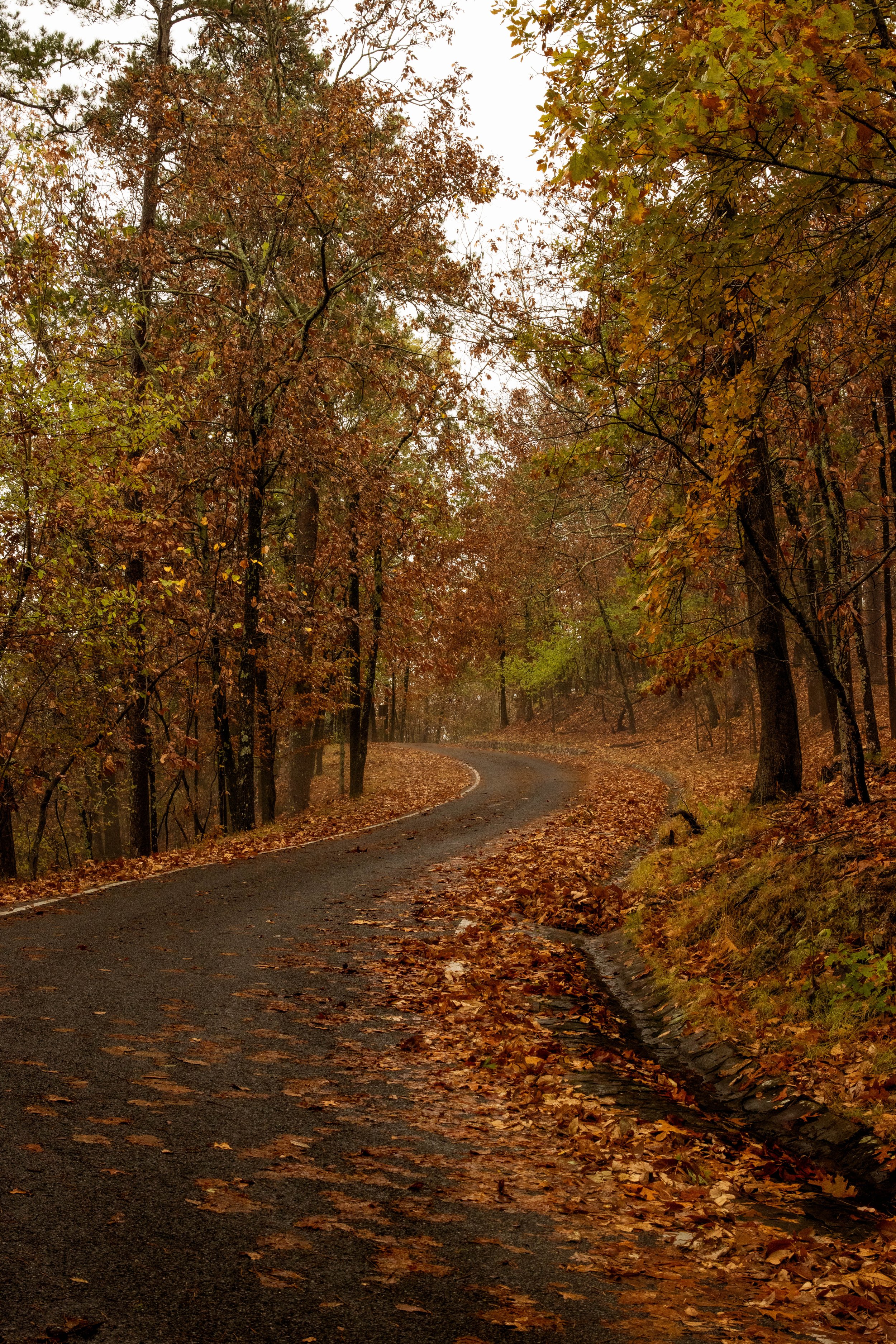 Hot Springs National Park-landscape photography-Stephanie Saldivar.jpg