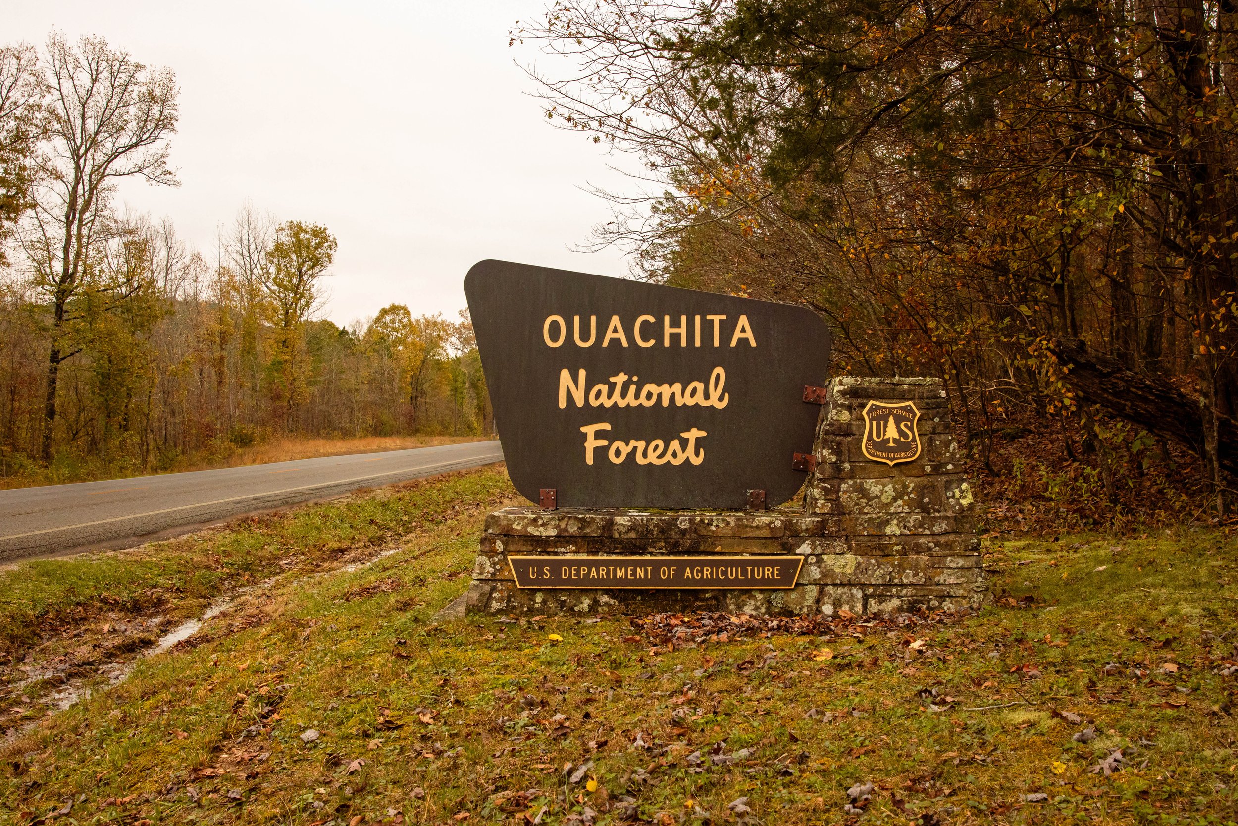 Ouachita National Forest-travel photography-Stephanie Saldivar.jpg