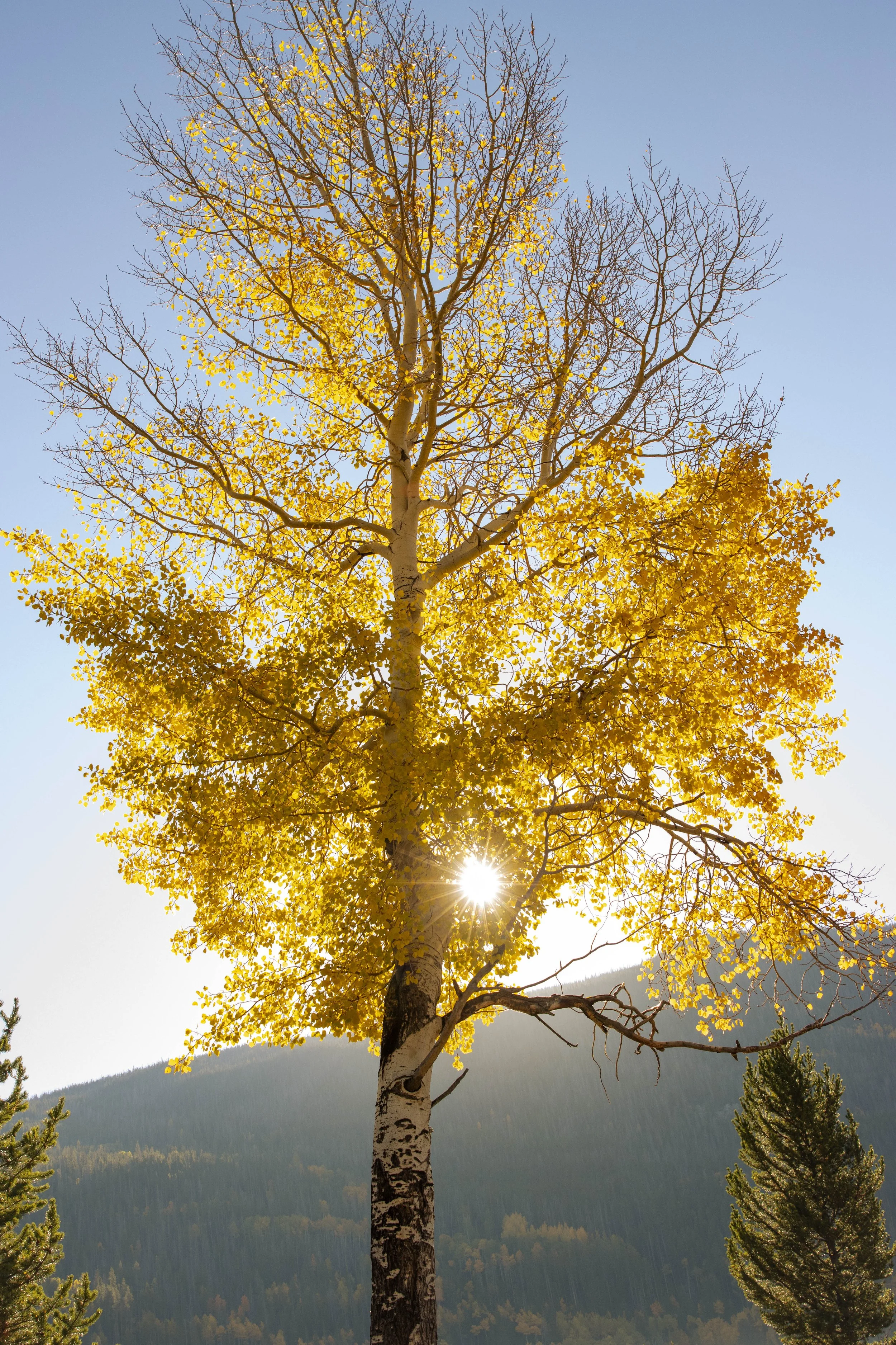 Rocky Mountains National Park_landscape photography_Stephanie Saldivar_5.jpg