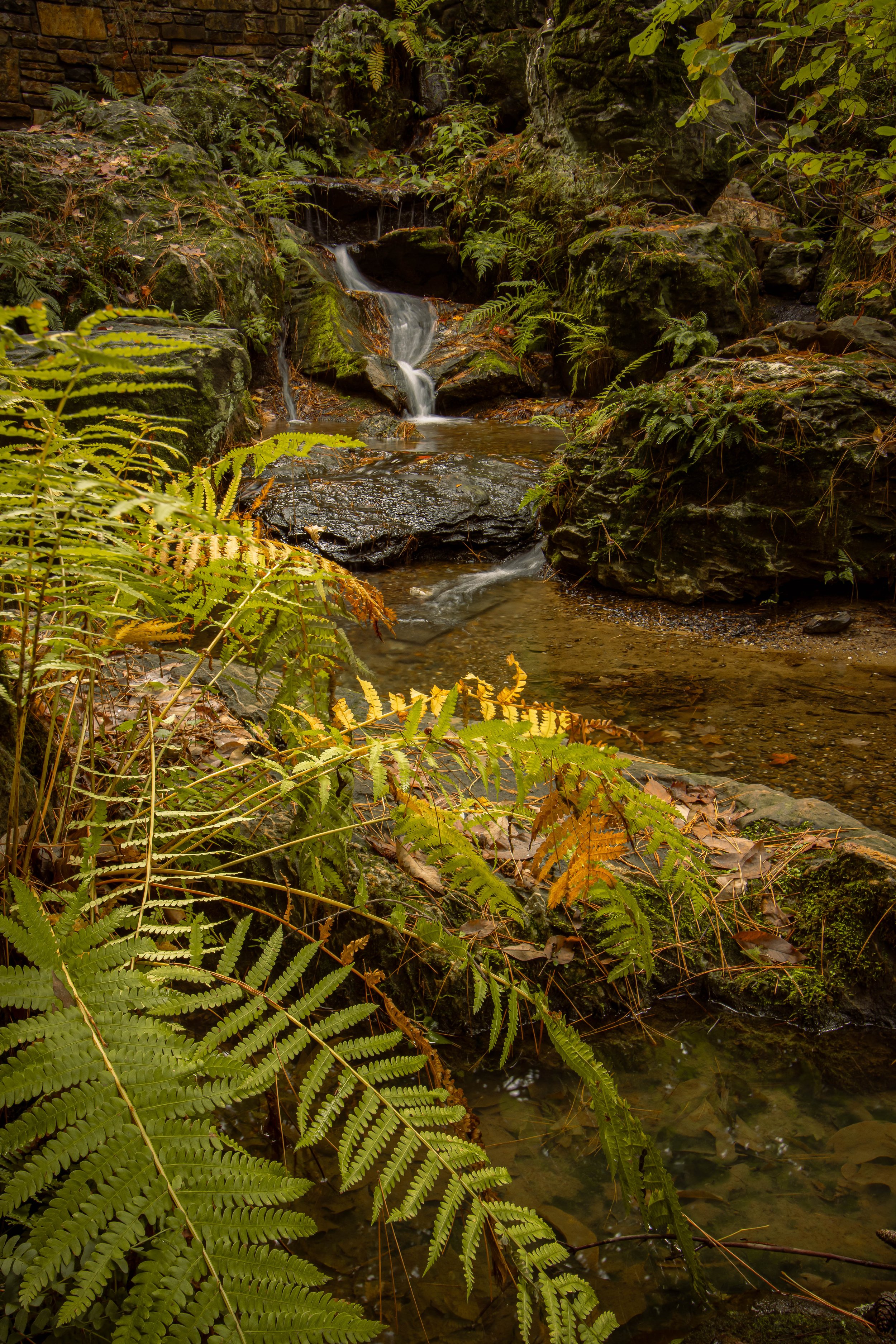 Garvan Gardens waterfall- long exposure photography-Stephanie Saldivar.jpg