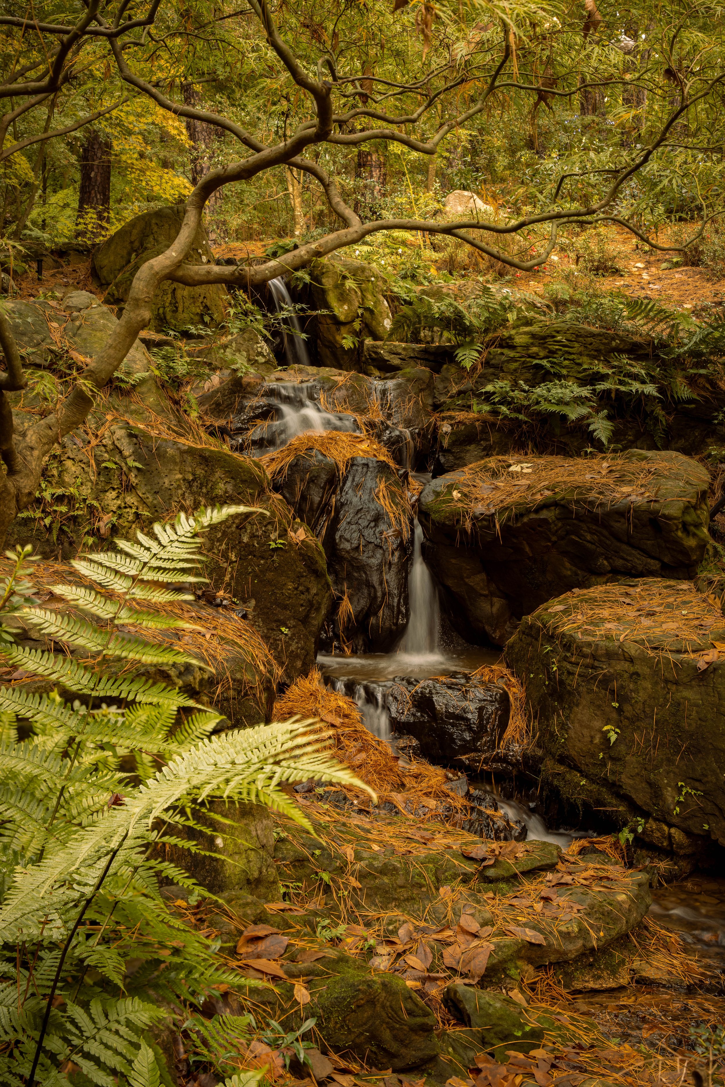 Garvan Gardens waterfall long exposure photography-Stephanie Saldivar.jpg