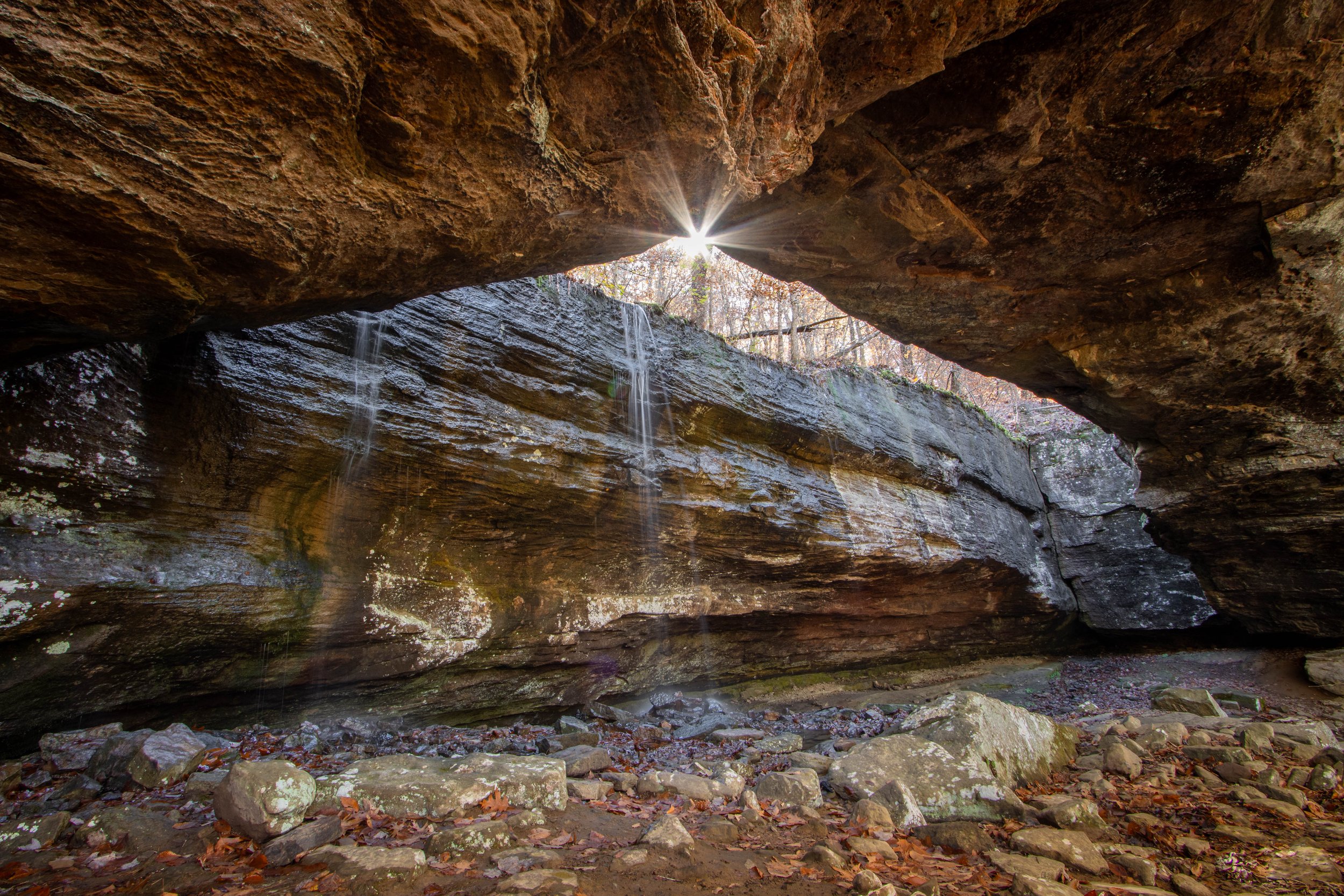 Alum Cove-Natural Bridge-Ozark National Forest-landscape photography-Stephanie Saldivar.jpg