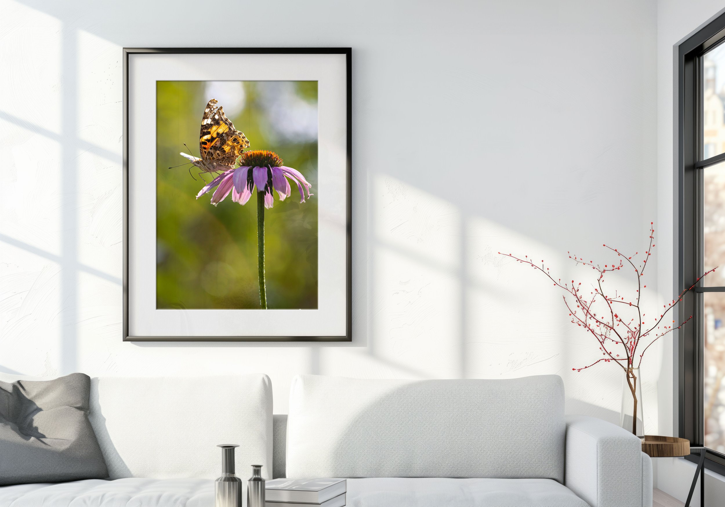 moth insect photography-macro photography-Stephanie Saldivar-printjpg.jpg
