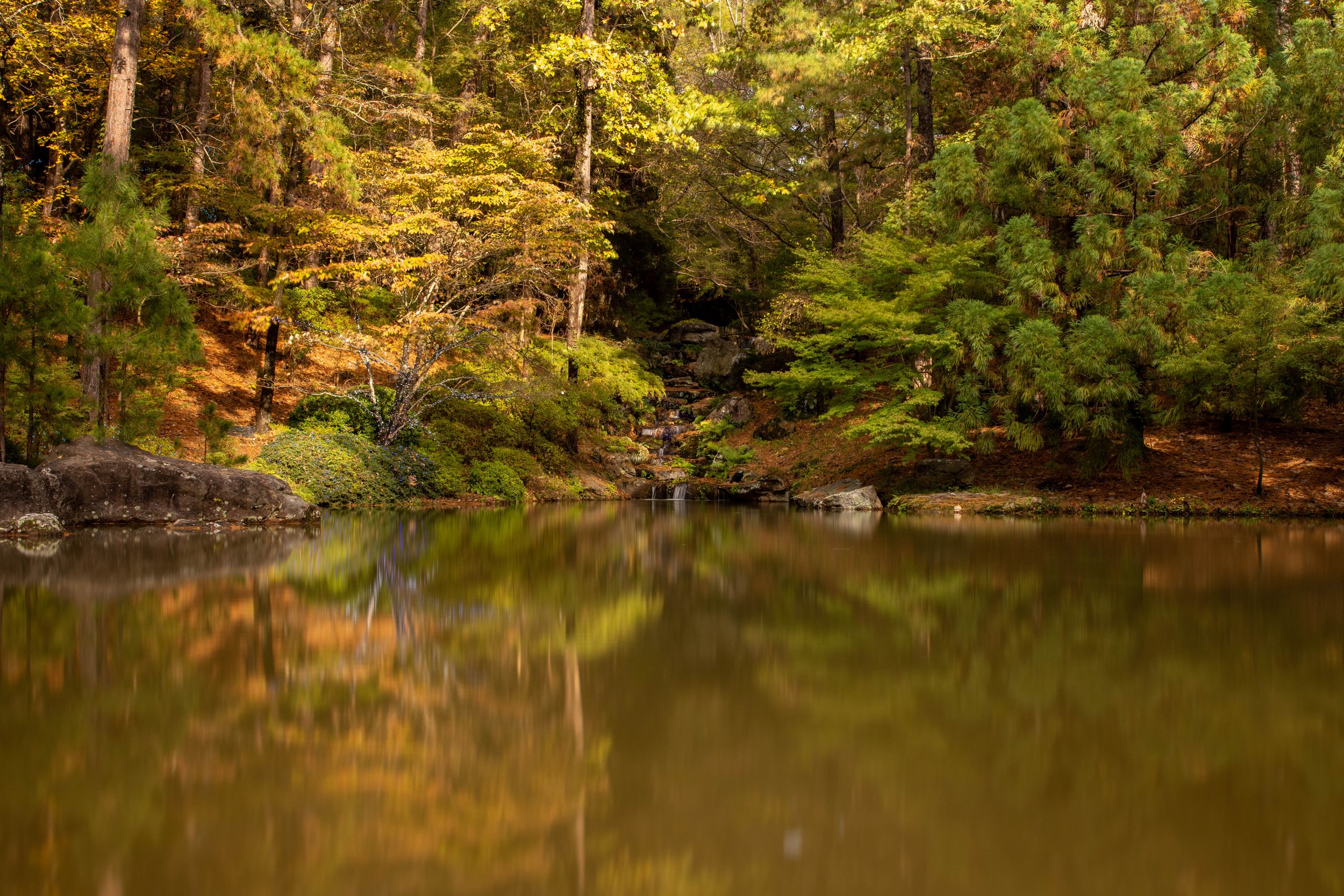 Garvan Gardens- long exposure landscape photography-Stephanie Saldivar.jpg