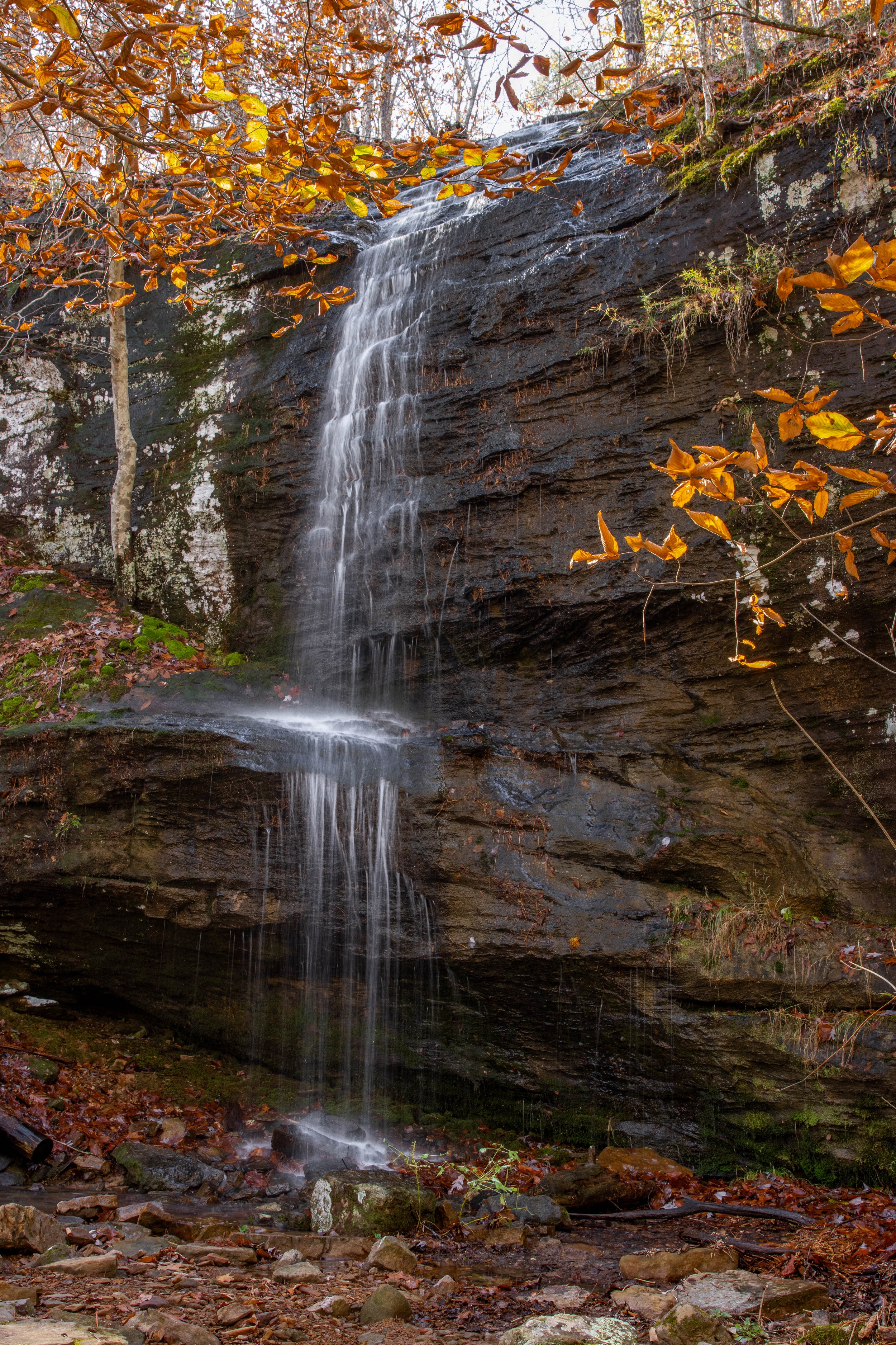 Ozark National Forest-Alum Cove-waterfall long expsosure photography-Stephanie Saldivar.jpg