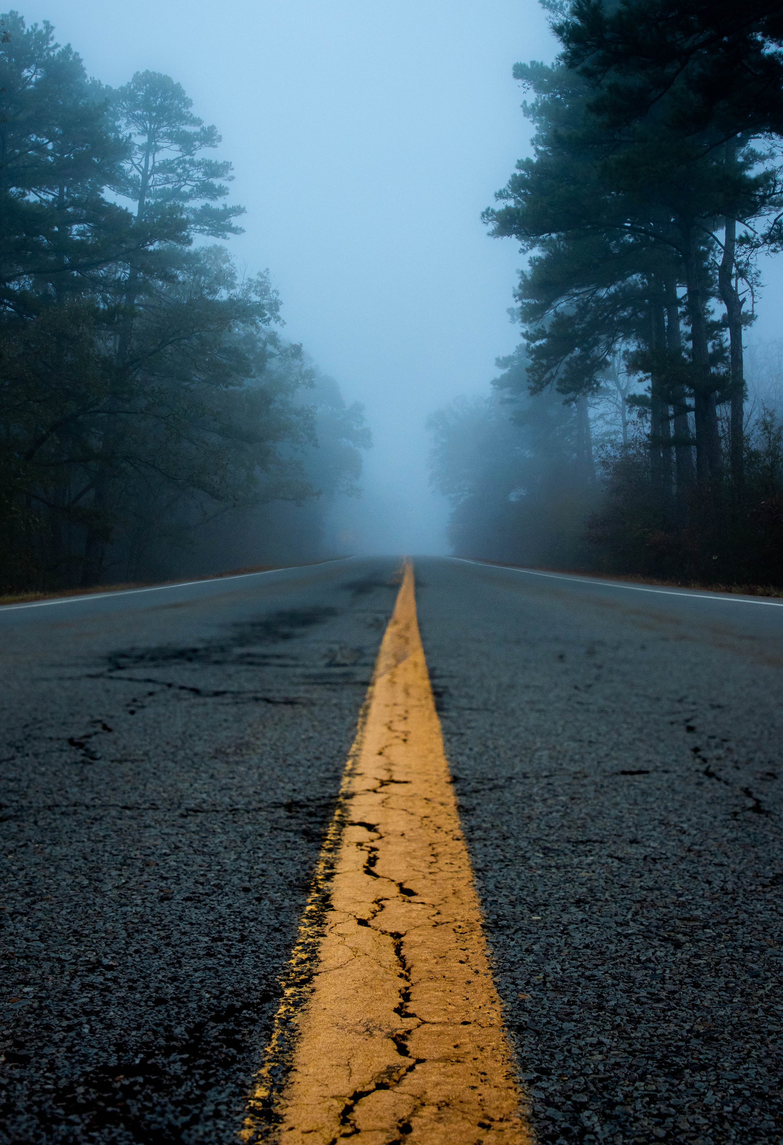 scenic byway 7 arkansas-travel photography-Stephanie Saldivar.jpg