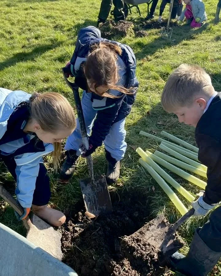 Was 2025 a good year for Harting CAN?&nbsp;