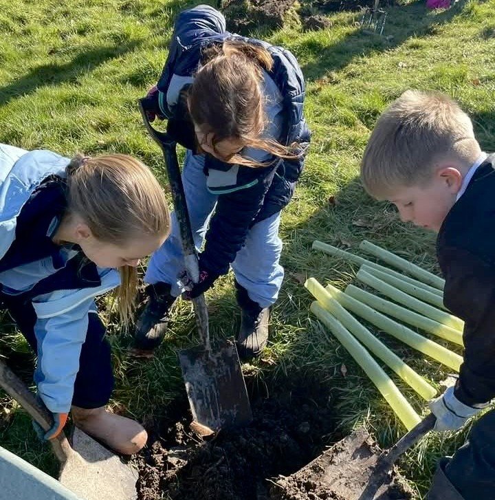 The Economics &amp; Opportunity of Climate Action 