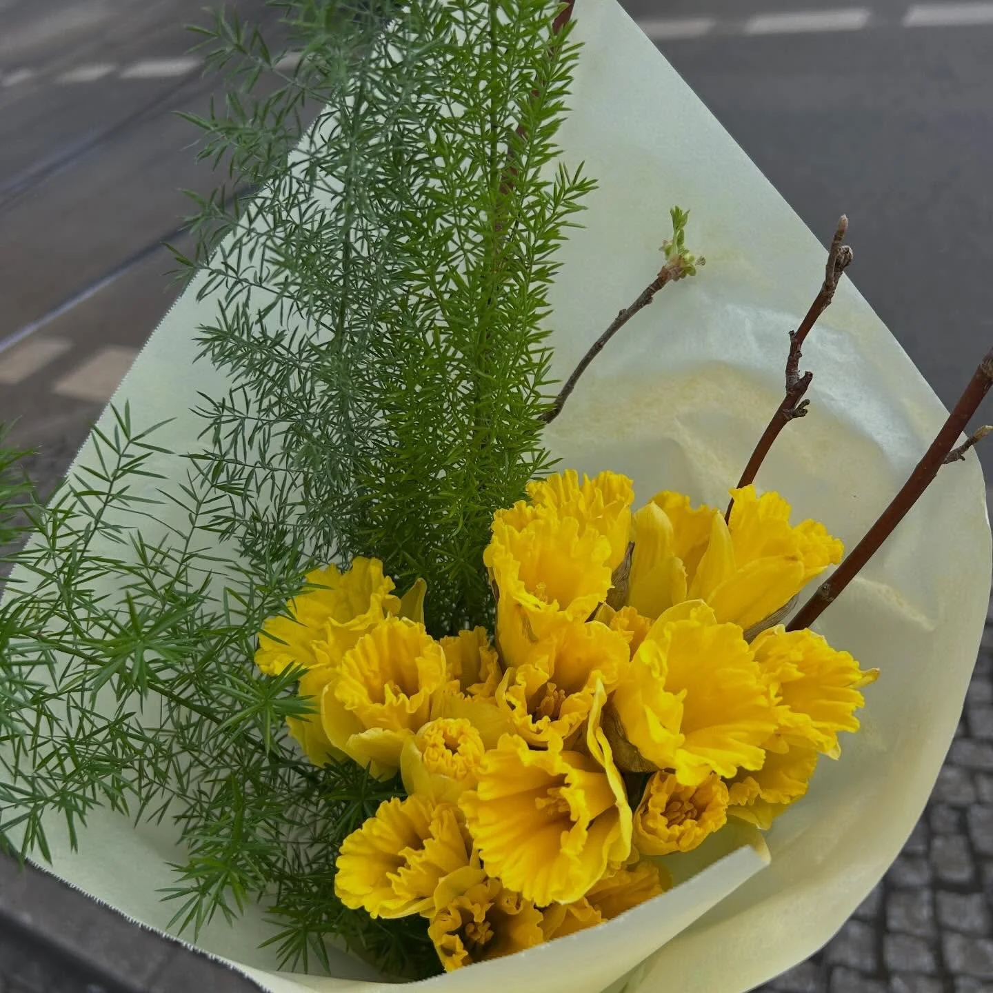 A few things lately.
Exciting shifts, new places and details worth noticing.
#lntstudioplaces