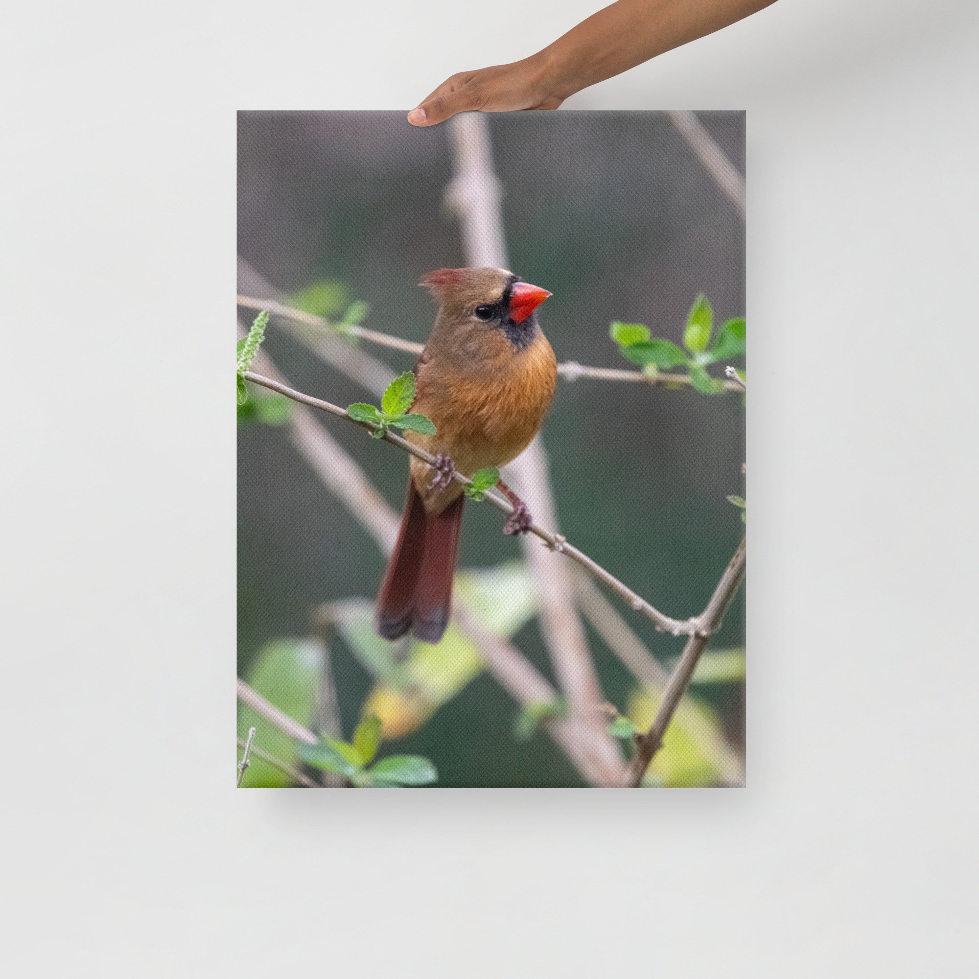 canvas-(in)-18x24-front-63d8dda966445.jpg