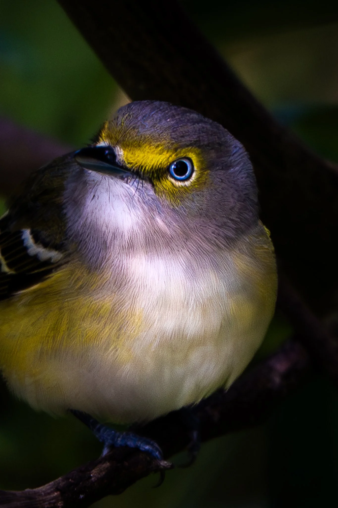 Museum‑Quality 8.5