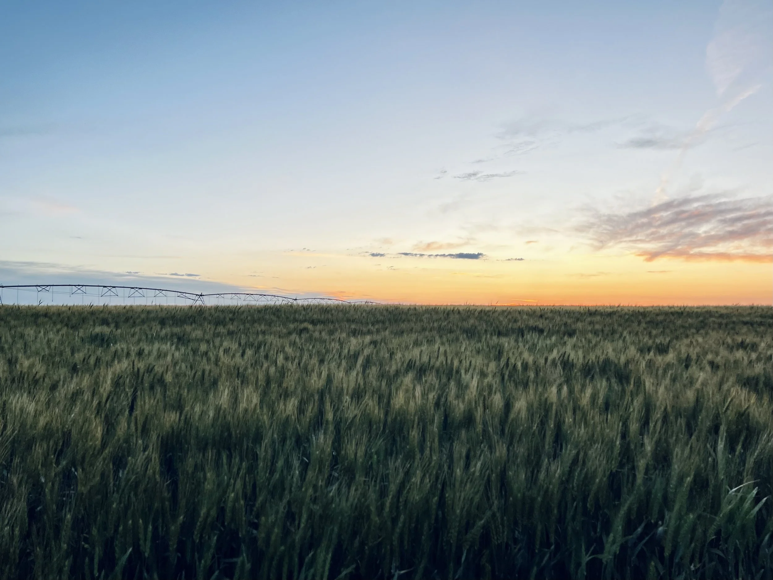 Liberal, KS sunsets with photo taken by BK Media